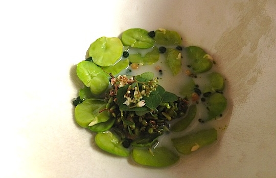 Galleria fotografica






In cammino verso il Noma. Il ristorante è al piano terra del palazzone più a sinistra. Per arrivarci dalla popolare insenatura di Nyhavn (il punto da cui è scattata la foto), occorre fare un bel giro. Ma si notano i lavori per la costruzione di un ponte. Che condurrà dritto all'insegna








Altra prospettiva sul Noma da Nyhavn. Il ristorante galleggia sulla Christianshavn, una delle tante isole artificiali che compongono Copenhagen








Di là del fiume, sulla lunga via che conduce allo spiazzo del Noma








Uno scenario molto tranquillo, di case pastello. Il silenzio è perché vanno tutti in bici













Al massimo si sente rombare qualche scafo








Il vascello davanti al Noma. Oltre a quella danese, sventolano le bandiere di Isole Far Oer e Groenlandia: le loro ambasciate sono nello stesso palazzo del ristorante. Coerenza nordica








Il retro del ristorante. L'80% delle 80 persone che lavorano al Noma viene a lavorare in bici, chef incluso








Dietro al ristorante, un'iscrizione ricorda i passeggeri scomparsi a bordo della danese Hans Hedtoft. Il transatlantico si scontrò il 30 gennaio 1959 contrò un iceberg in Groenlandia. Fu ritrovata solo una cintura di sicurezza
 








L'ingresso del ristorante, al civico 93 di Strandgade








La vista, ingresso alle spalle








Tra l'ingresso e la cucina a vista, spicca un corner di decoro simil-giapponese. A sinistra s'intravede Noma, time and place in Nordic Cuisine, edizioni Phaidon, un testo fondamentale per approfondire tutti i rivoli del Redzepi-mondo. La versione italiana si ordina qui








Una pianta di piccoli agrumi orla la cucina a vista








La porta d'ingresso vista dalla cucina








Le sedie, molto comode, sono anni Sessanta con schienali foderati di pelle di pecora, alcune più morbide di altre








I tavoli sono ampi e senza tovaglie. Attorno prevale il grigio e i colori rustici, sulle travi in legno del soffitto ma anche sulle divise dei ragazzi di sala








La finestra accanto al nostro tavolo








E' lo chef Rene Redzepi a introdurci al pasto: in un vaso di fiori danesi, l'unico pendaglio commestibile è una sorta di carta musica croccante (flatbread) di farina di malto all'aroma di ginepro. Nel piattino in basso, una deliziosa crème fraîche acida per intingerlo








Il flatbread è quello che svetta. "Ma se ci tenete, provate a mangiare anche i fiori", scherza Redzepi. Il cuoco scompare nelle segrete del Noma. Lo ritroveremo solo alla fine del pasto








Tutti i 14 appetizer si mangeranno con le mani. Unica posata, il coltello per tirar su e leccare la crème fraîche da sola (da fare quando tutti gli altri clienti son distratti, però)








Moss and Cep: Muschio di renna con polvere di funghi porcini. E' il corpo bianco, molto saporito ed evanescente, da intingere anch'esso nella crème fraîche
 








Crispy pork skin and black currant: Pelle di maiale croccante e ribes nero, lo strato più esterno. Aspro e croccante








Il ribes nero non ci lascerà prima di molto tempo








Blue mussels and celery: cozze e sedano. Solo due sono quelle buone








La parte inferiore del guscio è commestibile (ancora farina di malto)








Il quinto appetizer è nascosto in una deliziosa scatola di biscotti in latta della tradizione danese (chi non ricorda i Danish butter cookies?)








Cinque tondini, ma solo due "interessanti"








Si chiamano Cheese cookies, rocket and stems, letteralmente Biscotti al formaggio, ruchetta e gambi di erbe aromatiche, un felice snack potenzialmente riproducibile nei nord e nei sud del mondo








Appetizer #6: Potato and duck liver, Patate e fegato d'anatra: le patate croccanti sono in due strati e a mo' di sandwich racchiudono la mousse di fegato. La spolverata è di funghi trombette dei morti, disidratati e polverizzati, una tecnica che troveremo frequentemente








Dried carrot and sorrel, Carote grigliate a fuoco lento per 14 ore, disidratate e servite su polvere di fieno. Si intingono nell'emulsione di acetosella accanto. Un grande piatto perché di inattesa, energica acidità








Ottava entrée: Caramelized milk and cod liver, Biscotto di latte caramellato e fegato di merluzzo, quest'ultimo ghiacciato e pulito. Il secondo dona un aroma molto strong, che domina sul biscotto croccante. Per palati muscolari








Le uova dentro l'uovo








Pickled and smoked quails eggs, Uova di quaglia sbollentate, marinate e affumicate, un classico del Noma. Il tuorlo è completamente liquido








Col Veal fibres and söl, Filamenti di vitello e söl, decimo appetizer, entra in gioco per la prima volta un'alga di mare. E' il söl, appunto, dulse in inglese, Palmaria palmata nella tassonomia scientifica, un'alga rossa incastrata nei filamenti di vitello precedentemente tagliati sottili e poi fritti. Curioso l'impiatto a nido di ingredienti che alla fine incastrano terra e mare








Herb Toast and smoked cod roe, Toast alle erbe e uova di merluzzo affumicato, un'altra grandiosa tapa nordica da far su in due bocconi. Se non ricordiamo male, lo strato superiore è brodo di fegato d'anatra disidratato








Radish, soil and grass, Rapanello, "suolo" ed erba, un altro grande classico del Noma, un paesaggio commestibile di chiara genesi basca-adrianesca, molto replicato negli anni. Carote baby e rapanelli sono interrati in un "suolo" che è una crema di farina di malto con nocciole disidratate. Sotto ancora, uno yogurt di erbe. Finite le verdure, abbiamo chiesto dei cucchiaini per ripulire il suolo








Una foto (di spreadbutter) chiarisce meglio il contenuto del vasetto








Æbleskiver e muikku, penultimo appetizer, di concezione piuttosto recente. Un'antica tradizione dolce danese (Æbleskiver significa "piccoli pezzi di mela" ma la mela qui non c'è) è presentata in versione salata. Code e teste dei muikku, sorta di aringhe baby, sono infilzate in due bigné dall'impasto molto morbido con del ripieno di cetriolo marinato, ben riconoscibile al palato. L'aspetto dispone il cliente alla sfida ma la sua bizzarria visiva si scioglie presto in due bocconi morbidi, eleganti e deliziosi








Ultimo di 14 appetizer: Sorrel leaf and cricket paste, Foglia di acetosella (leggermente piccante) con pasta di grillo. Sì, proprio l'insetto dei prati, qui in consistenza di crema, inserita nel gambo dell'acetosella. Mettendo a fermentare grilli e orzo fermentato, Redzepi ha ottenuto una sorta di garum molto interessante, simile alla soia. Completa il piatto in foto, una granita di nasturzio ghiacciato








E il vino? Non producendo la Danimarca nettari di rilievo, è forse il capitolo meno allettante del Noma. La carta è un trionfo di vini ottenuti in climi freddi: francesi, tedeschi o austriaci soprattutto. Vini di acidità spinta che si combinano bene con le prevalenti acidità dei piatti. Le persone inquadrate nella foto hanno optato per il pairing coi succhi di frutta, quelli sì interessanti e autoctoni: il percorso prevede 7-8 succhi tra cui carote e ginepro, sedano e sedanorapa, cetriolo, eccetera. E i vini italiani? Pochi e tutti rossi, soprattutto di produttori di nebbiolo del Piemonte. "Ma li chiedono solo i norvegesi", ci raccontano








Terminati appetizer e main courses, sbirciamo i lavori in cucina. In primo piano, Samuel Nutter, sous chef inglese








Al centro, riconosciamo Matthew Orlando di San Diego, 35 anni e da 4 e mezzo head chef del Noma. Più tardi ci rivelerà che entro un paio d'anni aprirà il suo ristorante a Copenhagen. "E Renè che ne pensa?", chiediamo. "E' proprio lui a incoraggiarci a metterci in proprio", risponde Orlando. Vero, chiedere anche a Christian Puglisi








Ancora Orlando ci spiegherà che, tra sala, cucina, preparazioni e laboratorio, il Noma arriva a impiegare dall'alba a mezzanotte fino a 80 persone








La cucina prevede 7 comparti: il caldo, il freddo, la pasticceria, gli snack, produzione e mise-en-place, le preparazioni della squadra del mattino e la ricerca (su quest'ultima torneremo più avanti). Gli stagisti scelgono di lavorarci, sapendo di non essere pagati. Redzepi riceve un centinaio di curricula a settimana








Torniamo a tavola e troviamo nuove posate: rami appuntiti di sambuco








Servono a infilzare il primo delle portate "serie", Potato and snails, patate e lumache, servito in due piatti. Il primo è una terrina (rovente) di piccole deliziose patate affumicate e semiaffogate in una salsa al burro dolce e al tavolo spolverate con sale proprio di sambuco. Accanto, piccoli ceppi d'albero affumicati








Accanto, l'altra metà del piatto da infilzare coi bastoncini di sambuco: lumache glassate nel loro succo con burro dolce, olio al prezzemolo ed emulsione di piselli fermentati








Dopo 15 portate arrivano le posate. "Si torna alla civiltà", scherza il ragazzo di sala








...e arriva pure il pane, nascosto in una stoffa soffice con accanto due ciotoline che contengono burro da latte di capra e burro di grasso e crumble di maiale. Colesterolemici, vade retro








Solleviamo la stoffa: il pane è una pagnotta di lievito naturale di grano locale. La crosta è super-fragrante e il cuore molto sofficie e poroso





