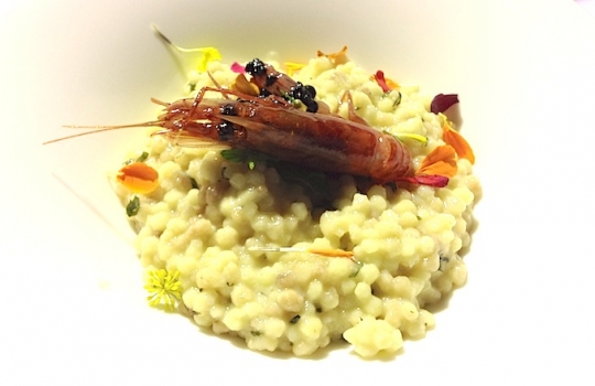 Galleria fotografica






Un'installazione eloquente al primo piano di Casa Puddu. La struttura in cui è inserito il ristorante ospita al primo piano una serie (molto mutevole) di opere d'arte di giovani artisti








La cantina dei vini del S'Apposentu ospita anche un numero notevole di forme di formaggio di varie stagionature (pecorino, soprattutto)








L'orto inserito nel complesso di Casa Puddu. E' il vero regno di Roberto Petza, che troverete molto abbronzato non certo perché se ne va al mare: trascorre ore a curare ortaggi e germogli da lui stesso piantati








Casa Puddu dall'esterno. Il complesso, risalente a inizio Novecento e ristrutturato di recente, offre un bell'esempio di liberty sardo (anzi campidanese, anzi della Marmilla) 








Galline razzolano nell'aia ricavata in un fazzoletto di Casa Puddu. Ve le ritroverete nel piatto in forma di brodo o carne (se non ci pensano prima le volpi del circondario, che vengono spesso a far strage di notte)








Gamberi con liquirizia e insalata estiva, entrée fresca e balsamica in carta al S'Apposentu








Zuppa con uova delle nostre galline, crema di patate, cipolle e tartufo scorzone di Nurallao








Ravioli di melanzane affumicate, tartufo scorzone e pecorino, una sintesi di proporzioni calibrate tra contenuto, contenitore e condimento








Maialino brado cotto nel fumo di mirto con salsa alla malvasia e patate affumicate: disossato, passato in padella, messo nel Roner 8 ore e poi ancora passato in padella. Carne molto tenera








Puistéris della cantina sociale Il Nuraghe, un bell'esempio di Semidano del Campidano Doc








Il viticoltore Pietro Lilliu tra le vigne della sua azienda in Marmilla








Dalle vigne della Cantina Lilliu di Ussaramanna esce anche il Dicciosu, un convincente Cannonau








I protagonisti nella "Cena del bosco", concertata in apertura del festival di Siddi Appetitosamente. Da sinistra si riconoscono 3 dei 4 autori (il quarto è lo stesso Petza): Emanuele Serra del Liit di Bangkok (Tailandia), Angelina Anyango Opondo del St. Kizito di Nairobi (Kenia) e Stefano Deidda del Corsaro di Cagliari. Un successone per 130 fortunati commensali








L'insalatina di capocollo di maiale piccante di Emanuele Serra, piatto d'apertura della Cena nel Bosco








Angelina Anyango Opondo. Alle sue spalle si ricnoscono Stefano Deidda e Domenico Sanna





