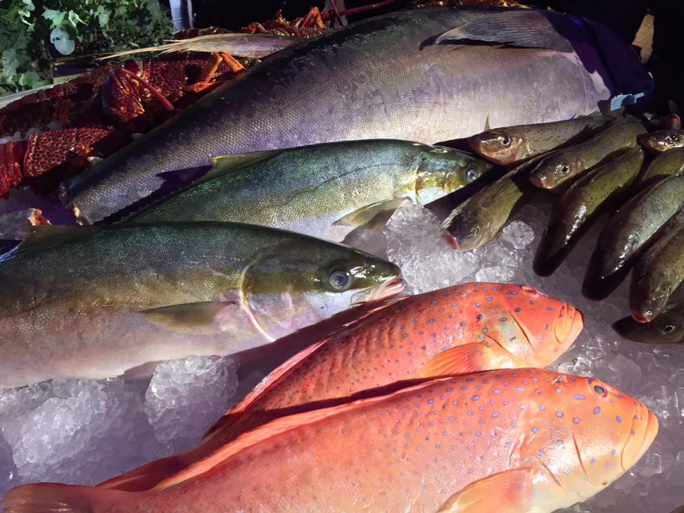 Galleria fotografica






Con l'aereo che sarebbe atterrato all'aeroporto di Melbourne alle 4.20 del mattino di martedì 4 aprile, ha fatto davvero piacere entrare della stanza 1729 del Langham Hotel lungo la South Bank del fiume Yarra e trovarvi della frutta fresca









Lo skyline notturno di Melbourne dalla camera al Langham. Il sole sarebbe sorto un paio d'ore dopo









Prima colazione con vista sul centro di Melbourne e il corso del fiume Yarra









Nicolas Chatenier, responsabile del panel francese nella giuria dei 50 Best, ha invitato stampa, cuochi e amici al Philippe Restaurant in pieno centro di Melbourne. «La Francia e i Fifty hanno avuto in passato relazioni torbulente che stiamo superando e così eccoci qui da uno chef che ha lavorato per anni e anni con Paul Bocuse». In effetti Philippe Mouchel è quanto di più lontano possiamo aspettarci oggi da una tavola contemporanea. Da un eccesso all'altro?









Clement Vachon e Yannick Alléno









Mauro Colagreco e Massimiliano Alajmo. Per la prima volta è toccato al fratello chef rappresentare le Calandre ai 50 Best. In passato, a Londra e a New York, era sempre andato Raffaele Alajmo









Dominique Crenn, argento vivo









Una tavola italiana è sempre allegra e calamita tutti, anche Yoshihiro Narisawa









La prima cena a Melbourne? Cafè Di Stasio, la buona Italia nel mondo









Rinaldo Di Stasio, per tutti Ronnie, produce vino nella Yarra Valley dal 1994. Le etichette le cura suo padre in maniera molto singolare: scrivendo l'originale a mano



















«DOC, siamo nati pizzaioli» è scritto su una grande lavagna in una delle due pizzerie chiamate DOC da Tony Nicolini. Questa è quella in Albert Park









La stessa inquadratura di prima ma con i fattori invertiti per evidenziare la foto di papà Nicolini quando era un giovane pizzaiolo arrivato nella metropoli dello stato di Victoria









Volo di mongolfiere su Melbourne all'alba di mercoledì 5 aprile 2017









Mercoledì 5 aprile, ore 9.30 del mattino, il giorno della verità dei Fifty Best 2017: la tensione di Massimo Bottura in attesa della sera









Massimo Bottura e Ben Shewry, chef neozelandese trapiantato a Melbourne in Australia









Dan Barber, chef-patron di Blue Hill at Stone Barns poco a nord di New York. Profeta della sostenibilità a 360° ha sospirato e poi sorriso quando gli abbiamo chiesto di Donald Trump presidente: «Il mio lavoro diventa più difficile, ma la sfida molto più interessante»









A conferenza e interviste concluse, posano i 5 chef intervistati. Da sinistra verso destra Gaggan Anand, Dan Barber, Elena Arzak, Virgilio Martinez e Yannick Alléno









Foto ricordo per me con, da sinistra, Virgilio Martinez, Valeria Senigaglia, Alessandra Gesuelli, Gaggan Anand e Elisabetta Canoro









Mercoledì 5 aprile a Melbourne: alle 6.30 della sera vengono aperti gli ingressi del Royal Exhibition Building e i quasi 1000 invitati iniziano a defluire, suddivisi in due file. A destra red carpet per i vip, a sinistra il dietro le quinte per la stampa









Finiti gli scatti con mogli, fidanzate e amici, Alajmo, Bottura, Crippa e Romito, reggendo un A4 ciascuno, ricorderanno così l'amico Bob Noto, scomparso a Torino lo scorso 23 marzo. Davvero un bel gesto






