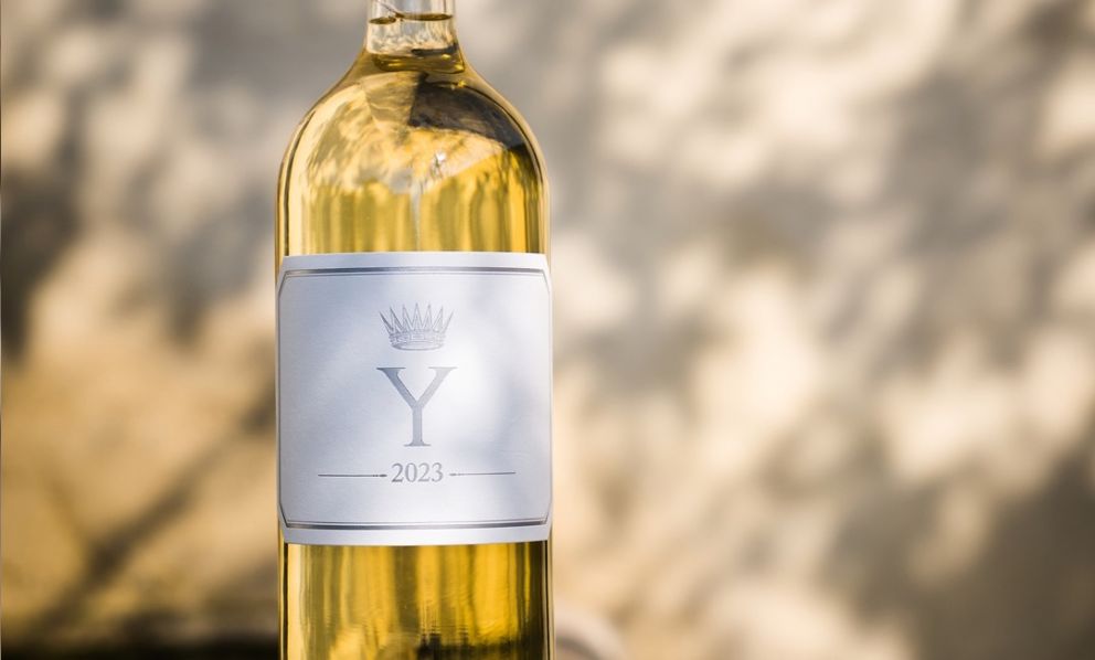 Château d'Yquem e la nuova annata di “Y” 2023: un grande millesimo tra ombre e luce