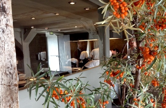 Galleria fotografica






In cammino verso il Noma. Il ristorante è al piano terra del palazzone più a sinistra. Per arrivarci dalla popolare insenatura di Nyhavn (il punto da cui è scattata la foto), occorre fare un bel giro. Ma si notano i lavori per la costruzione di un ponte. Che condurrà dritto all'insegna








Altra prospettiva sul Noma da Nyhavn. Il ristorante galleggia sulla Christianshavn, una delle tante isole artificiali che compongono Copenhagen








Di là del fiume, sulla lunga via che conduce allo spiazzo del Noma








Uno scenario molto tranquillo, di case pastello. Il silenzio è perché vanno tutti in bici













Al massimo si sente rombare qualche scafo








Il vascello davanti al Noma. Oltre a quella danese, sventolano le bandiere di Isole Far Oer e Groenlandia: le loro ambasciate sono nello stesso palazzo del ristorante. Coerenza nordica








Il retro del ristorante. L'80% delle 80 persone che lavorano al Noma viene a lavorare in bici, chef incluso








Dietro al ristorante, un'iscrizione ricorda i passeggeri scomparsi a bordo della danese Hans Hedtoft. Il transatlantico si scontrò il 30 gennaio 1959 contrò un iceberg in Groenlandia. Fu ritrovata solo una cintura di sicurezza
 








L'ingresso del ristorante, al civico 93 di Strandgade








La vista, ingresso alle spalle








Tra l'ingresso e la cucina a vista, spicca un corner di decoro simil-giapponese. A sinistra s'intravede Noma, time and place in Nordic Cuisine, edizioni Phaidon, un testo fondamentale per approfondire tutti i rivoli del Redzepi-mondo. La versione italiana si ordina qui





