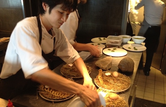 Galleria fotografica






In cammino verso il Noma. Il ristorante è al piano terra del palazzone più a sinistra. Per arrivarci dalla popolare insenatura di Nyhavn (il punto da cui è scattata la foto), occorre fare un bel giro. Ma si notano i lavori per la costruzione di un ponte. Che condurrà dritto all'insegna








Altra prospettiva sul Noma da Nyhavn. Il ristorante galleggia sulla Christianshavn, una delle tante isole artificiali che compongono Copenhagen








Di là del fiume, sulla lunga via che conduce allo spiazzo del Noma








Uno scenario molto tranquillo, di case pastello. Il silenzio è perché vanno tutti in bici













Al massimo si sente rombare qualche scafo








Il vascello davanti al Noma. Oltre a quella danese, sventolano le bandiere di Isole Far Oer e Groenlandia: le loro ambasciate sono nello stesso palazzo del ristorante. Coerenza nordica








Il retro del ristorante. L'80% delle 80 persone che lavorano al Noma viene a lavorare in bici, chef incluso








Dietro al ristorante, un'iscrizione ricorda i passeggeri scomparsi a bordo della danese Hans Hedtoft. Il transatlantico si scontrò il 30 gennaio 1959 contrò un iceberg in Groenlandia. Fu ritrovata solo una cintura di sicurezza
 








L'ingresso del ristorante, al civico 93 di Strandgade








La vista, ingresso alle spalle








Tra l'ingresso e la cucina a vista, spicca un corner di decoro simil-giapponese. A sinistra s'intravede Noma, time and place in Nordic Cuisine, edizioni Phaidon, un testo fondamentale per approfondire tutti i rivoli del Redzepi-mondo. La versione italiana si ordina qui








Una pianta di piccoli agrumi orla la cucina a vista








La porta d'ingresso vista dalla cucina








Le sedie, molto comode, sono anni Sessanta con schienali foderati di pelle di pecora, alcune più morbide di altre








I tavoli sono ampi e senza tovaglie. Attorno prevale il grigio e i colori rustici, sulle travi in legno del soffitto ma anche sulle divise dei ragazzi di sala








La finestra accanto al nostro tavolo








E' lo chef Rene Redzepi a introdurci al pasto: in un vaso di fiori danesi, l'unico pendaglio commestibile è una sorta di carta musica croccante (flatbread) di farina di malto all'aroma di ginepro. Nel piattino in basso, una deliziosa crème fraîche acida per intingerlo








Il flatbread è quello che svetta. "Ma se ci tenete, provate a mangiare anche i fiori", scherza Redzepi. Il cuoco scompare nelle segrete del Noma. Lo ritroveremo solo alla fine del pasto








Tutti i 14 appetizer si mangeranno con le mani. Unica posata, il coltello per tirar su e leccare la crème fraîche da sola (da fare quando tutti gli altri clienti son distratti, però)








Moss and Cep: Muschio di renna con polvere di funghi porcini. E' il corpo bianco, molto saporito ed evanescente, da intingere anch'esso nella crème fraîche
 








Crispy pork skin and black currant: Pelle di maiale croccante e ribes nero, lo strato più esterno. Aspro e croccante








Il ribes nero non ci lascerà prima di molto tempo








Blue mussels and celery: cozze e sedano. Solo due sono quelle buone








La parte inferiore del guscio è commestibile (ancora farina di malto)








Il quinto appetizer è nascosto in una deliziosa scatola di biscotti in latta della tradizione danese (chi non ricorda i Danish butter cookies?)








Cinque tondini, ma solo due "interessanti"








Si chiamano Cheese cookies, rocket and stems, letteralmente Biscotti al formaggio, ruchetta e gambi di erbe aromatiche, un felice snack potenzialmente riproducibile nei nord e nei sud del mondo








Appetizer #6: Potato and duck liver, Patate e fegato d'anatra: le patate croccanti sono in due strati e a mo' di sandwich racchiudono la mousse di fegato. La spolverata è di funghi trombette dei morti, disidratati e polverizzati, una tecnica che troveremo frequentemente








Dried carrot and sorrel, Carote grigliate a fuoco lento per 14 ore, disidratate e servite su polvere di fieno. Si intingono nell'emulsione di acetosella accanto. Un grande piatto perché di inattesa, energica acidità








Ottava entrée: Caramelized milk and cod liver, Biscotto di latte caramellato e fegato di merluzzo, quest'ultimo ghiacciato e pulito. Il secondo dona un aroma molto strong, che domina sul biscotto croccante. Per palati muscolari








Le uova dentro l'uovo








Pickled and smoked quails eggs, Uova di quaglia sbollentate, marinate e affumicate, un classico del Noma. Il tuorlo è completamente liquido








Col Veal fibres and söl, Filamenti di vitello e söl, decimo appetizer, entra in gioco per la prima volta un'alga di mare. E' il söl, appunto, dulse in inglese, Palmaria palmata nella tassonomia scientifica, un'alga rossa incastrata nei filamenti di vitello precedentemente tagliati sottili e poi fritti. Curioso l'impiatto a nido di ingredienti che alla fine incastrano terra e mare








Herb Toast and smoked cod roe, Toast alle erbe e uova di merluzzo affumicato, un'altra grandiosa tapa nordica da far su in due bocconi. Se non ricordiamo male, lo strato superiore è brodo di fegato d'anatra disidratato








Radish, soil and grass, Rapanello, "suolo" ed erba, un altro grande classico del Noma, un paesaggio commestibile di chiara genesi basca-adrianesca, molto replicato negli anni. Carote baby e rapanelli sono interrati in un "suolo" che è una crema di farina di malto con nocciole disidratate. Sotto ancora, uno yogurt di erbe. Finite le verdure, abbiamo chiesto dei cucchiaini per ripulire il suolo








Una foto (di spreadbutter) chiarisce meglio il contenuto del vasetto








Æbleskiver e muikku, penultimo appetizer, di concezione piuttosto recente. Un'antica tradizione dolce danese (Æbleskiver significa "piccoli pezzi di mela" ma la mela qui non c'è) è presentata in versione salata. Code e teste dei muikku, sorta di aringhe baby, sono infilzate in due bigné dall'impasto molto morbido con del ripieno di cetriolo marinato, ben riconoscibile al palato. L'aspetto dispone il cliente alla sfida ma la sua bizzarria visiva si scioglie presto in due bocconi morbidi, eleganti e deliziosi








Ultimo di 14 appetizer: Sorrel leaf and cricket paste, Foglia di acetosella (leggermente piccante) con pasta di grillo. Sì, proprio l'insetto dei prati, qui in consistenza di crema, inserita nel gambo dell'acetosella. Mettendo a fermentare grilli e orzo fermentato, Redzepi ha ottenuto una sorta di garum molto interessante, simile alla soia. Completa il piatto in foto, una granita di nasturzio ghiacciato








E il vino? Non producendo la Danimarca nettari di rilievo, è forse il capitolo meno allettante del Noma. La carta è un trionfo di vini ottenuti in climi freddi: francesi, tedeschi o austriaci soprattutto. Vini di acidità spinta che si combinano bene con le prevalenti acidità dei piatti. Le persone inquadrate nella foto hanno optato per il pairing coi succhi di frutta, quelli sì interessanti e autoctoni: il percorso prevede 7-8 succhi tra cui carote e ginepro, sedano e sedanorapa, cetriolo, eccetera. E i vini italiani? Pochi e tutti rossi, soprattutto di produttori di nebbiolo del Piemonte. "Ma li chiedono solo i norvegesi", ci raccontano








Terminati appetizer e main courses, sbirciamo i lavori in cucina. In primo piano, Samuel Nutter, sous chef inglese








Al centro, riconosciamo Matthew Orlando di San Diego, 35 anni e da 4 e mezzo head chef del Noma. Più tardi ci rivelerà che entro un paio d'anni aprirà il suo ristorante a Copenhagen. "E Renè che ne pensa?", chiediamo. "E' proprio lui a incoraggiarci a metterci in proprio", risponde Orlando. Vero, chiedere anche a Christian Puglisi





