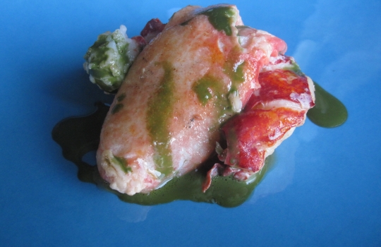 Galleria fotograficaCrema di piselli con cozza, il piatto in apertura del pasto da Gualtiero Marchesi a Erbusco, Brescia, telefono +39.030.7760562