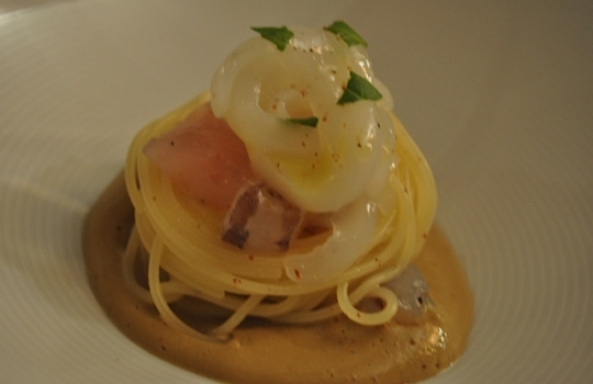 Galleria fotografica



