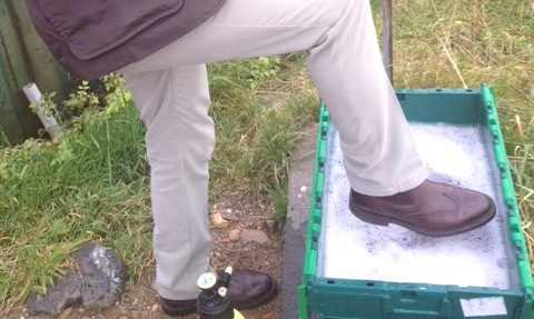 Galleria fotografica






Scozia, regione di Argyle, sud-ovest del Paese








Loch Fyne è il fiordo più noto di Argyle e anche il più lungo del Paese. Loch in gaelico significa "lago", fyne "fiordo"








Nei dintorni, colline dolci, larici, pini e abeti








Al largo si scorgono delle gabbie di acquacoltura





