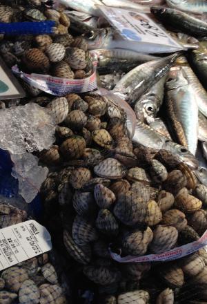 Galleria fotografica






A spasso tra i canali di Venezia. Esclusa l'estemporanea grandinata di domenica 24, la dodicesima edizione della S.Pellegrino Cooking Cup ha regalato un clima memorabile








Globetrotter, signature dish di Lorenzo Cogo alla Cooking Cup 2012








Il signature dish di Martin Volkaerts, belga dell'Air du Temps








Aragosta con vinaigrette d’ostrica e quinoa croccante, piatto che è valso a David Frenkel del Pronto di Tel Aviv, Israele, il People Choice’s Award 2012








Dumpling di lardo e gamberi con asparagi, tartufi di mare e erbe estive, signature dish di Richard Ousby del Quay di Sydney, Young Chef of the Year 2012








Bietola di sgombro con crema d'aglio, piselli e riso saltato, il piatto cucinato in mare dal vincitore Richard Ousby








La pietanza disegnata sabato sera da Jacob Holmstrom del Gastrologik di Stoccolma: un viaggio attorno al salmone che ha convinto tutti i giurati (e che gli è valso il secondo posto finale)








Daniel Berlin, Massimo Bottura, Davide Scabin, la foodblogger Lydia Capasso, Mauro Colagreco e Franco Favaretto valutano i piatti in gara nella hall del Molino Stucky Hilton di Venezia, teatro della prima sera dell'evento








Particolare del piatto del giovane cuoco russo in concorso: Anatoly Kazakov del Bon di Mosca








Domenica mattina, tutti i cuochi al mercato del pesce di Rialto a cercare gli ingredienti del Mystery Basket con cui comporre la ricetta a bordo





