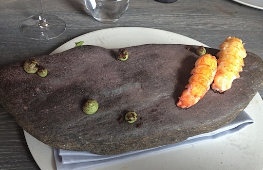 Galleria fotografica






In cammino verso il Noma. Il ristorante è al piano terra del palazzone più a sinistra. Per arrivarci dalla popolare insenatura di Nyhavn (il punto da cui è scattata la foto), occorre fare un bel giro. Ma si notano i lavori per la costruzione di un ponte. Che condurrà dritto all'insegna








Altra prospettiva sul Noma da Nyhavn. Il ristorante galleggia sulla Christianshavn, una delle tante isole artificiali che compongono Copenhagen








Di là del fiume, sulla lunga via che conduce allo spiazzo del Noma








Uno scenario molto tranquillo, di case pastello. Il silenzio è perché vanno tutti in bici













Al massimo si sente rombare qualche scafo








Il vascello davanti al Noma. Oltre a quella danese, sventolano le bandiere di Isole Far Oer e Groenlandia: le loro ambasciate sono nello stesso palazzo del ristorante. Coerenza nordica








Il retro del ristorante. L'80% delle 80 persone che lavorano al Noma viene a lavorare in bici, chef incluso








Dietro al ristorante, un'iscrizione ricorda i passeggeri scomparsi a bordo della danese Hans Hedtoft. Il transatlantico si scontrò il 30 gennaio 1959 contrò un iceberg in Groenlandia. Fu ritrovata solo una cintura di sicurezza
 








L'ingresso del ristorante, al civico 93 di Strandgade








La vista, ingresso alle spalle








Tra l'ingresso e la cucina a vista, spicca un corner di decoro simil-giapponese. A sinistra s'intravede Noma, time and place in Nordic Cuisine, edizioni Phaidon, un testo fondamentale per approfondire tutti i rivoli del Redzepi-mondo. La versione italiana si ordina qui








Una pianta di piccoli agrumi orla la cucina a vista








La porta d'ingresso vista dalla cucina








Le sedie, molto comode, sono anni Sessanta con schienali foderati di pelle di pecora, alcune più morbide di altre








I tavoli sono ampi e senza tovaglie. Attorno prevale il grigio e i colori rustici, sulle travi in legno del soffitto ma anche sulle divise dei ragazzi di sala








La finestra accanto al nostro tavolo








E' lo chef Rene Redzepi a introdurci al pasto: in un vaso di fiori danesi, l'unico pendaglio commestibile è una sorta di carta musica croccante (flatbread) di farina di malto all'aroma di ginepro. Nel piattino in basso, una deliziosa crème fraîche acida per intingerlo








Il flatbread è quello che svetta. "Ma se ci tenete, provate a mangiare anche i fiori", scherza Redzepi. Il cuoco scompare nelle segrete del Noma. Lo ritroveremo solo alla fine del pasto








Tutti i 14 appetizer si mangeranno con le mani. Unica posata, il coltello per tirar su e leccare la crème fraîche da sola (da fare quando tutti gli altri clienti son distratti, però)








Moss and Cep: Muschio di renna con polvere di funghi porcini. E' il corpo bianco, molto saporito ed evanescente, da intingere anch'esso nella crème fraîche
 








Crispy pork skin and black currant: Pelle di maiale croccante e ribes nero, lo strato più esterno. Aspro e croccante








Il ribes nero non ci lascerà prima di molto tempo








Blue mussels and celery: cozze e sedano. Solo due sono quelle buone








La parte inferiore del guscio è commestibile (ancora farina di malto)








Il quinto appetizer è nascosto in una deliziosa scatola di biscotti in latta della tradizione danese (chi non ricorda i Danish butter cookies?)








Cinque tondini, ma solo due "interessanti"








Si chiamano Cheese cookies, rocket and stems, letteralmente Biscotti al formaggio, ruchetta e gambi di erbe aromatiche, un felice snack potenzialmente riproducibile nei nord e nei sud del mondo








Appetizer #6: Potato and duck liver, Patate e fegato d'anatra: le patate croccanti sono in due strati e a mo' di sandwich racchiudono la mousse di fegato. La spolverata è di funghi trombette dei morti, disidratati e polverizzati, una tecnica che troveremo frequentemente








Dried carrot and sorrel, Carote grigliate a fuoco lento per 14 ore, disidratate e servite su polvere di fieno. Si intingono nell'emulsione di acetosella accanto. Un grande piatto perché di inattesa, energica acidità








Ottava entrée: Caramelized milk and cod liver, Biscotto di latte caramellato e fegato di merluzzo, quest'ultimo ghiacciato e pulito. Il secondo dona un aroma molto strong, che domina sul biscotto croccante. Per palati muscolari








Le uova dentro l'uovo








Pickled and smoked quails eggs, Uova di quaglia sbollentate, marinate e affumicate, un classico del Noma. Il tuorlo è completamente liquido








Col Veal fibres and söl, Filamenti di vitello e söl, decimo appetizer, entra in gioco per la prima volta un'alga di mare. E' il söl, appunto, dulse in inglese, Palmaria palmata nella tassonomia scientifica, un'alga rossa incastrata nei filamenti di vitello precedentemente tagliati sottili e poi fritti. Curioso l'impiatto a nido di ingredienti che alla fine incastrano terra e mare








Herb Toast and smoked cod roe, Toast alle erbe e uova di merluzzo affumicato, un'altra grandiosa tapa nordica da far su in due bocconi. Se non ricordiamo male, lo strato superiore è brodo di fegato d'anatra disidratato








Radish, soil and grass, Rapanello, "suolo" ed erba, un altro grande classico del Noma, un paesaggio commestibile di chiara genesi basca-adrianesca, molto replicato negli anni. Carote baby e rapanelli sono interrati in un "suolo" che è una crema di farina di malto con nocciole disidratate. Sotto ancora, uno yogurt di erbe. Finite le verdure, abbiamo chiesto dei cucchiaini per ripulire il suolo








Una foto (di spreadbutter) chiarisce meglio il contenuto del vasetto








Æbleskiver e muikku, penultimo appetizer, di concezione piuttosto recente. Un'antica tradizione dolce danese (Æbleskiver significa "piccoli pezzi di mela" ma la mela qui non c'è) è presentata in versione salata. Code e teste dei muikku, sorta di aringhe baby, sono infilzate in due bigné dall'impasto molto morbido con del ripieno di cetriolo marinato, ben riconoscibile al palato. L'aspetto dispone il cliente alla sfida ma la sua bizzarria visiva si scioglie presto in due bocconi morbidi, eleganti e deliziosi








Ultimo di 14 appetizer: Sorrel leaf and cricket paste, Foglia di acetosella (leggermente piccante) con pasta di grillo. Sì, proprio l'insetto dei prati, qui in consistenza di crema, inserita nel gambo dell'acetosella. Mettendo a fermentare grilli e orzo fermentato, Redzepi ha ottenuto una sorta di garum molto interessante, simile alla soia. Completa il piatto in foto, una granita di nasturzio ghiacciato








E il vino? Non producendo la Danimarca nettari di rilievo, è forse il capitolo meno allettante del Noma. La carta è un trionfo di vini ottenuti in climi freddi: francesi, tedeschi o austriaci soprattutto. Vini di acidità spinta che si combinano bene con le prevalenti acidità dei piatti. Le persone inquadrate nella foto hanno optato per il pairing coi succhi di frutta, quelli sì interessanti e autoctoni: il percorso prevede 7-8 succhi tra cui carote e ginepro, sedano e sedanorapa, cetriolo, eccetera. E i vini italiani? Pochi e tutti rossi, soprattutto di produttori di nebbiolo del Piemonte. "Ma li chiedono solo i norvegesi", ci raccontano








Terminati appetizer e main courses, sbirciamo i lavori in cucina. In primo piano, Samuel Nutter, sous chef inglese








Al centro, riconosciamo Matthew Orlando di San Diego, 35 anni e da 4 e mezzo head chef del Noma. Più tardi ci rivelerà che entro un paio d'anni aprirà il suo ristorante a Copenhagen. "E Renè che ne pensa?", chiediamo. "E' proprio lui a incoraggiarci a metterci in proprio", risponde Orlando. Vero, chiedere anche a Christian Puglisi








Ancora Orlando ci spiegherà che, tra sala, cucina, preparazioni e laboratorio, il Noma arriva a impiegare dall'alba a mezzanotte fino a 80 persone








La cucina prevede 7 comparti: il caldo, il freddo, la pasticceria, gli snack, produzione e mise-en-place, le preparazioni della squadra del mattino e la ricerca (su quest'ultima torneremo più avanti). Gli stagisti scelgono di lavorarci, sapendo di non essere pagati. Redzepi riceve un centinaio di curricula a settimana








Torniamo a tavola e troviamo nuove posate: rami appuntiti di sambuco








Servono a infilzare il primo delle portate "serie", Potato and snails, patate e lumache, servito in due piatti. Il primo è una terrina (rovente) di piccole deliziose patate affumicate e semiaffogate in una salsa al burro dolce e al tavolo spolverate con sale proprio di sambuco. Accanto, piccoli ceppi d'albero affumicati








Accanto, l'altra metà del piatto da infilzare coi bastoncini di sambuco: lumache glassate nel loro succo con burro dolce, olio al prezzemolo ed emulsione di piselli fermentati








Dopo 15 portate arrivano le posate. "Si torna alla civiltà", scherza il ragazzo di sala








...e arriva pure il pane, nascosto in una stoffa soffice con accanto due ciotoline che contengono burro da latte di capra e burro di grasso e crumble di maiale. Colesterolemici, vade retro








Solleviamo la stoffa: il pane è una pagnotta di lievito naturale di grano locale. La crosta è super-fragrante e il cuore molto sofficie e poroso








Cooked fava beans and beach herbs, Fave stufate gentilmente ed "erbe di spiaggia" (che poi sono diversi tipi di alghe di mare). Le fave sono fantastiche nella loro compattezza inaspettatamente dolce








Con la terza portata del ciclo "serio" veniamo ai ragazzi di sala: sono tutti molto professionali ma anche rilassati. Tra i 30 e i 40 anni, molti tatuati, ruotano di continuo al nostro tavolo: una trentina dei piatti sono stati serviti e illustrati da 10 camerieri diversi, molti dei quali cuochi dei livelli più alti della gerarchia. Il ragazzo in foto che ci serve Berries and cucumber, Bacche e cetrioli, si chiama Beau Clugston, è australiano e da poche ore è un nuovo sous-chef del Noma








Ai frutti di bosco e insalata di cetrioli si unisce del succo di camomilla...








...et voilà








Insalata di brown crab (granchi atlantici), tuorlo d'uovo, erbe di campo e il rosso sono le uova del granchio. I ragazzi si raccomandano di fare attenzione perchè potrebbe esserci del carapace o delle chele: la carne del granchio è stata rimossa tutta a mano. Noi ci scontriamo solo con un fresco schiaffo iodato





