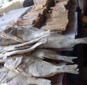 Galleria fotografica






Da sinistra, Federico Zanasi, Luca D’Amora e Moreno Cedroni. Dalle Marche alle Mauritius








A destra, Federico Zanasi con gli altri due chef del Long Beach. Oltre a Sapori e Hasu, diretti dai cuochi italiani, il resort ospita Chopsticks (cucina cinese), Tides (cucina di mare d'impronta francese) e Le Marchè (buffet e colazioni)








Il tunnel sotterraneo del resort. Ai lati, le stanze in cui si prepara la materia prima da spedire ai vari ristoranti di sopra





