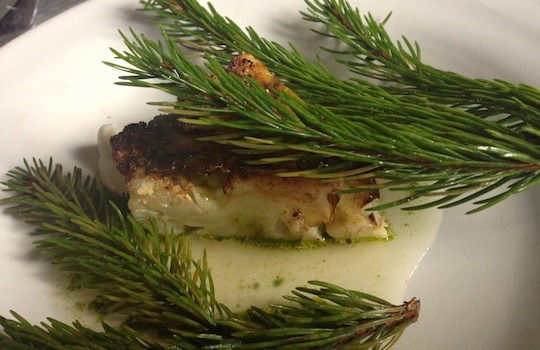 Galleria fotografica






In cammino verso il Noma. Il ristorante è al piano terra del palazzone più a sinistra. Per arrivarci dalla popolare insenatura di Nyhavn (il punto da cui è scattata la foto), occorre fare un bel giro. Ma si notano i lavori per la costruzione di un ponte. Che condurrà dritto all'insegna








Altra prospettiva sul Noma da Nyhavn. Il ristorante galleggia sulla Christianshavn, una delle tante isole artificiali che compongono Copenhagen








Di là del fiume, sulla lunga via che conduce allo spiazzo del Noma








Uno scenario molto tranquillo, di case pastello. Il silenzio è perché vanno tutti in bici













Al massimo si sente rombare qualche scafo








Il vascello davanti al Noma. Oltre a quella danese, sventolano le bandiere di Isole Far Oer e Groenlandia: le loro ambasciate sono nello stesso palazzo del ristorante. Coerenza nordica








Il retro del ristorante. L'80% delle 80 persone che lavorano al Noma viene a lavorare in bici, chef incluso








Dietro al ristorante, un'iscrizione ricorda i passeggeri scomparsi a bordo della danese Hans Hedtoft. Il transatlantico si scontrò il 30 gennaio 1959 contrò un iceberg in Groenlandia. Fu ritrovata solo una cintura di sicurezza
 








L'ingresso del ristorante, al civico 93 di Strandgade








La vista, ingresso alle spalle








Tra l'ingresso e la cucina a vista, spicca un corner di decoro simil-giapponese. A sinistra s'intravede Noma, time and place in Nordic Cuisine, edizioni Phaidon, un testo fondamentale per approfondire tutti i rivoli del Redzepi-mondo. La versione italiana si ordina qui








Una pianta di piccoli agrumi orla la cucina a vista








La porta d'ingresso vista dalla cucina








Le sedie, molto comode, sono anni Sessanta con schienali foderati di pelle di pecora, alcune più morbide di altre








I tavoli sono ampi e senza tovaglie. Attorno prevale il grigio e i colori rustici, sulle travi in legno del soffitto ma anche sulle divise dei ragazzi di sala








La finestra accanto al nostro tavolo








E' lo chef Rene Redzepi a introdurci al pasto: in un vaso di fiori danesi, l'unico pendaglio commestibile è una sorta di carta musica croccante (flatbread) di farina di malto all'aroma di ginepro. Nel piattino in basso, una deliziosa crème fraîche acida per intingerlo








Il flatbread è quello che svetta. "Ma se ci tenete, provate a mangiare anche i fiori", scherza Redzepi. Il cuoco scompare nelle segrete del Noma. Lo ritroveremo solo alla fine del pasto








Tutti i 14 appetizer si mangeranno con le mani. Unica posata, il coltello per tirar su e leccare la crème fraîche da sola (da fare quando tutti gli altri clienti son distratti, però)








Moss and Cep: Muschio di renna con polvere di funghi porcini. E' il corpo bianco, molto saporito ed evanescente, da intingere anch'esso nella crème fraîche
 








Crispy pork skin and black currant: Pelle di maiale croccante e ribes nero, lo strato più esterno. Aspro e croccante








Il ribes nero non ci lascerà prima di molto tempo








Blue mussels and celery: cozze e sedano. Solo due sono quelle buone








La parte inferiore del guscio è commestibile (ancora farina di malto)








Il quinto appetizer è nascosto in una deliziosa scatola di biscotti in latta della tradizione danese (chi non ricorda i Danish butter cookies?)








Cinque tondini, ma solo due "interessanti"








Si chiamano Cheese cookies, rocket and stems, letteralmente Biscotti al formaggio, ruchetta e gambi di erbe aromatiche, un felice snack potenzialmente riproducibile nei nord e nei sud del mondo








Appetizer #6: Potato and duck liver, Patate e fegato d'anatra: le patate croccanti sono in due strati e a mo' di sandwich racchiudono la mousse di fegato. La spolverata è di funghi trombette dei morti, disidratati e polverizzati, una tecnica che troveremo frequentemente








Dried carrot and sorrel, Carote grigliate a fuoco lento per 14 ore, disidratate e servite su polvere di fieno. Si intingono nell'emulsione di acetosella accanto. Un grande piatto perché di inattesa, energica acidità








Ottava entrée: Caramelized milk and cod liver, Biscotto di latte caramellato e fegato di merluzzo, quest'ultimo ghiacciato e pulito. Il secondo dona un aroma molto strong, che domina sul biscotto croccante. Per palati muscolari








Le uova dentro l'uovo








Pickled and smoked quails eggs, Uova di quaglia sbollentate, marinate e affumicate, un classico del Noma. Il tuorlo è completamente liquido








Col Veal fibres and söl, Filamenti di vitello e söl, decimo appetizer, entra in gioco per la prima volta un'alga di mare. E' il söl, appunto, dulse in inglese, Palmaria palmata nella tassonomia scientifica, un'alga rossa incastrata nei filamenti di vitello precedentemente tagliati sottili e poi fritti. Curioso l'impiatto a nido di ingredienti che alla fine incastrano terra e mare








Herb Toast and smoked cod roe, Toast alle erbe e uova di merluzzo affumicato, un'altra grandiosa tapa nordica da far su in due bocconi. Se non ricordiamo male, lo strato superiore è brodo di fegato d'anatra disidratato








Radish, soil and grass, Rapanello, "suolo" ed erba, un altro grande classico del Noma, un paesaggio commestibile di chiara genesi basca-adrianesca, molto replicato negli anni. Carote baby e rapanelli sono interrati in un "suolo" che è una crema di farina di malto con nocciole disidratate. Sotto ancora, uno yogurt di erbe. Finite le verdure, abbiamo chiesto dei cucchiaini per ripulire il suolo








Una foto (di spreadbutter) chiarisce meglio il contenuto del vasetto








Æbleskiver e muikku, penultimo appetizer, di concezione piuttosto recente. Un'antica tradizione dolce danese (Æbleskiver significa "piccoli pezzi di mela" ma la mela qui non c'è) è presentata in versione salata. Code e teste dei muikku, sorta di aringhe baby, sono infilzate in due bigné dall'impasto molto morbido con del ripieno di cetriolo marinato, ben riconoscibile al palato. L'aspetto dispone il cliente alla sfida ma la sua bizzarria visiva si scioglie presto in due bocconi morbidi, eleganti e deliziosi








Ultimo di 14 appetizer: Sorrel leaf and cricket paste, Foglia di acetosella (leggermente piccante) con pasta di grillo. Sì, proprio l'insetto dei prati, qui in consistenza di crema, inserita nel gambo dell'acetosella. Mettendo a fermentare grilli e orzo fermentato, Redzepi ha ottenuto una sorta di garum molto interessante, simile alla soia. Completa il piatto in foto, una granita di nasturzio ghiacciato








E il vino? Non producendo la Danimarca nettari di rilievo, è forse il capitolo meno allettante del Noma. La carta è un trionfo di vini ottenuti in climi freddi: francesi, tedeschi o austriaci soprattutto. Vini di acidità spinta che si combinano bene con le prevalenti acidità dei piatti. Le persone inquadrate nella foto hanno optato per il pairing coi succhi di frutta, quelli sì interessanti e autoctoni: il percorso prevede 7-8 succhi tra cui carote e ginepro, sedano e sedanorapa, cetriolo, eccetera. E i vini italiani? Pochi e tutti rossi, soprattutto di produttori di nebbiolo del Piemonte. "Ma li chiedono solo i norvegesi", ci raccontano








Terminati appetizer e main courses, sbirciamo i lavori in cucina. In primo piano, Samuel Nutter, sous chef inglese








Al centro, riconosciamo Matthew Orlando di San Diego, 35 anni e da 4 e mezzo head chef del Noma. Più tardi ci rivelerà che entro un paio d'anni aprirà il suo ristorante a Copenhagen. "E Renè che ne pensa?", chiediamo. "E' proprio lui a incoraggiarci a metterci in proprio", risponde Orlando. Vero, chiedere anche a Christian Puglisi








Ancora Orlando ci spiegherà che, tra sala, cucina, preparazioni e laboratorio, il Noma arriva a impiegare dall'alba a mezzanotte fino a 80 persone








La cucina prevede 7 comparti: il caldo, il freddo, la pasticceria, gli snack, produzione e mise-en-place, le preparazioni della squadra del mattino e la ricerca (su quest'ultima torneremo più avanti). Gli stagisti scelgono di lavorarci, sapendo di non essere pagati. Redzepi riceve un centinaio di curricula a settimana








Torniamo a tavola e troviamo nuove posate: rami appuntiti di sambuco








Servono a infilzare il primo delle portate "serie", Potato and snails, patate e lumache, servito in due piatti. Il primo è una terrina (rovente) di piccole deliziose patate affumicate e semiaffogate in una salsa al burro dolce e al tavolo spolverate con sale proprio di sambuco. Accanto, piccoli ceppi d'albero affumicati








Accanto, l'altra metà del piatto da infilzare coi bastoncini di sambuco: lumache glassate nel loro succo con burro dolce, olio al prezzemolo ed emulsione di piselli fermentati








Dopo 15 portate arrivano le posate. "Si torna alla civiltà", scherza il ragazzo di sala








...e arriva pure il pane, nascosto in una stoffa soffice con accanto due ciotoline che contengono burro da latte di capra e burro di grasso e crumble di maiale. Colesterolemici, vade retro








Solleviamo la stoffa: il pane è una pagnotta di lievito naturale di grano locale. La crosta è super-fragrante e il cuore molto sofficie e poroso








Cooked fava beans and beach herbs, Fave stufate gentilmente ed "erbe di spiaggia" (che poi sono diversi tipi di alghe di mare). Le fave sono fantastiche nella loro compattezza inaspettatamente dolce








Con la terza portata del ciclo "serio" veniamo ai ragazzi di sala: sono tutti molto professionali ma anche rilassati. Tra i 30 e i 40 anni, molti tatuati, ruotano di continuo al nostro tavolo: una trentina dei piatti sono stati serviti e illustrati da 10 camerieri diversi, molti dei quali cuochi dei livelli più alti della gerarchia. Il ragazzo in foto che ci serve Berries and cucumber, Bacche e cetrioli, si chiama Beau Clugston, è australiano e da poche ore è un nuovo sous-chef del Noma








Ai frutti di bosco e insalata di cetrioli si unisce del succo di camomilla...








...et voilà








Insalata di brown crab (granchi atlantici), tuorlo d'uovo, erbe di campo e il rosso sono le uova del granchio. I ragazzi si raccomandano di fare attenzione perchè potrebbe esserci del carapace o delle chele: la carne del granchio è stata rimossa tutta a mano. Noi ci scontriamo solo con un fresco schiaffo iodato








Accanto alle langoustine, scampi norvegesi, torna l'alga söl, questa volta in forma di emulsione con acqua di ostriche. I puntini rossi sono segale disidratata





