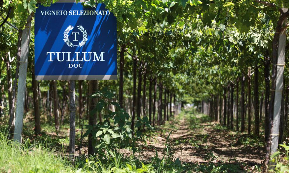 Docg Tullum in Abruzzo: piccolo è meglio. Parola di Feudo Antico