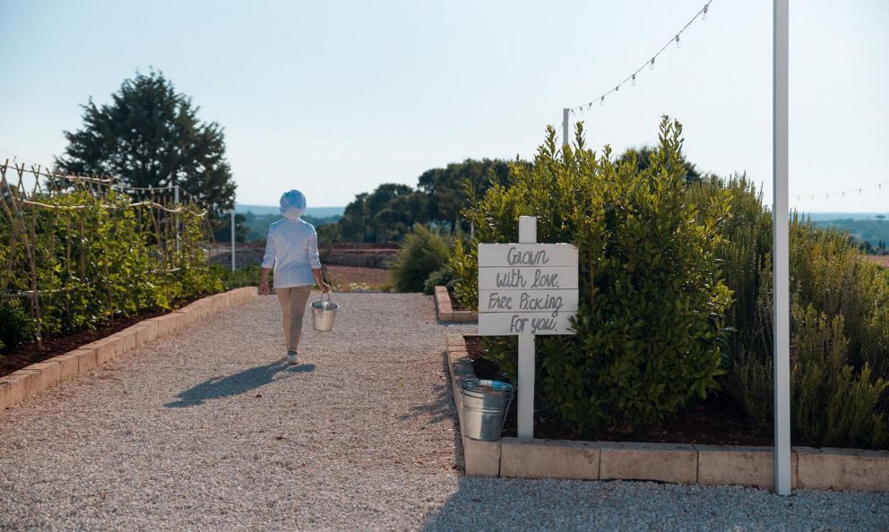 Ristorante Orto: la natura nel piatto tra i trulli alle porte di Monopoli, in Puglia