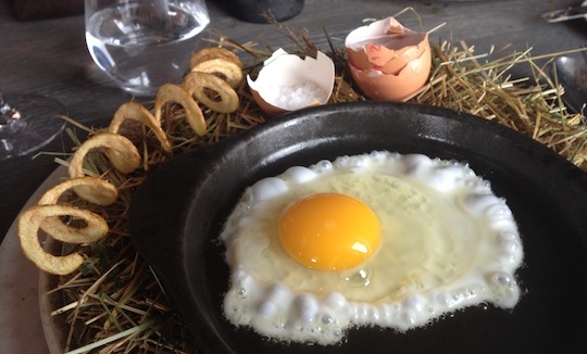 Galleria fotografica






In cammino verso il Noma. Il ristorante è al piano terra del palazzone più a sinistra. Per arrivarci dalla popolare insenatura di Nyhavn (il punto da cui è scattata la foto), occorre fare un bel giro. Ma si notano i lavori per la costruzione di un ponte. Che condurrà dritto all'insegna








Altra prospettiva sul Noma da Nyhavn. Il ristorante galleggia sulla Christianshavn, una delle tante isole artificiali che compongono Copenhagen








Di là del fiume, sulla lunga via che conduce allo spiazzo del Noma








Uno scenario molto tranquillo, di case pastello. Il silenzio è perché vanno tutti in bici













Al massimo si sente rombare qualche scafo








Il vascello davanti al Noma. Oltre a quella danese, sventolano le bandiere di Isole Far Oer e Groenlandia: le loro ambasciate sono nello stesso palazzo del ristorante. Coerenza nordica








Il retro del ristorante. L'80% delle 80 persone che lavorano al Noma viene a lavorare in bici, chef incluso








Dietro al ristorante, un'iscrizione ricorda i passeggeri scomparsi a bordo della danese Hans Hedtoft. Il transatlantico si scontrò il 30 gennaio 1959 contrò un iceberg in Groenlandia. Fu ritrovata solo una cintura di sicurezza
 








L'ingresso del ristorante, al civico 93 di Strandgade








La vista, ingresso alle spalle








Tra l'ingresso e la cucina a vista, spicca un corner di decoro simil-giapponese. A sinistra s'intravede Noma, time and place in Nordic Cuisine, edizioni Phaidon, un testo fondamentale per approfondire tutti i rivoli del Redzepi-mondo. La versione italiana si ordina qui








Una pianta di piccoli agrumi orla la cucina a vista








La porta d'ingresso vista dalla cucina








Le sedie, molto comode, sono anni Sessanta con schienali foderati di pelle di pecora, alcune più morbide di altre








I tavoli sono ampi e senza tovaglie. Attorno prevale il grigio e i colori rustici, sulle travi in legno del soffitto ma anche sulle divise dei ragazzi di sala








La finestra accanto al nostro tavolo








E' lo chef Rene Redzepi a introdurci al pasto: in un vaso di fiori danesi, l'unico pendaglio commestibile è una sorta di carta musica croccante (flatbread) di farina di malto all'aroma di ginepro. Nel piattino in basso, una deliziosa crème fraîche acida per intingerlo








Il flatbread è quello che svetta. "Ma se ci tenete, provate a mangiare anche i fiori", scherza Redzepi. Il cuoco scompare nelle segrete del Noma. Lo ritroveremo solo alla fine del pasto








Tutti i 14 appetizer si mangeranno con le mani. Unica posata, il coltello per tirar su e leccare la crème fraîche da sola (da fare quando tutti gli altri clienti son distratti, però)








Moss and Cep: Muschio di renna con polvere di funghi porcini. E' il corpo bianco, molto saporito ed evanescente, da intingere anch'esso nella crème fraîche
 








Crispy pork skin and black currant: Pelle di maiale croccante e ribes nero, lo strato più esterno. Aspro e croccante








Il ribes nero non ci lascerà prima di molto tempo








Blue mussels and celery: cozze e sedano. Solo due sono quelle buone








La parte inferiore del guscio è commestibile (ancora farina di malto)








Il quinto appetizer è nascosto in una deliziosa scatola di biscotti in latta della tradizione danese (chi non ricorda i Danish butter cookies?)








Cinque tondini, ma solo due "interessanti"








Si chiamano Cheese cookies, rocket and stems, letteralmente Biscotti al formaggio, ruchetta e gambi di erbe aromatiche, un felice snack potenzialmente riproducibile nei nord e nei sud del mondo








Appetizer #6: Potato and duck liver, Patate e fegato d'anatra: le patate croccanti sono in due strati e a mo' di sandwich racchiudono la mousse di fegato. La spolverata è di funghi trombette dei morti, disidratati e polverizzati, una tecnica che troveremo frequentemente








Dried carrot and sorrel, Carote grigliate a fuoco lento per 14 ore, disidratate e servite su polvere di fieno. Si intingono nell'emulsione di acetosella accanto. Un grande piatto perché di inattesa, energica acidità








Ottava entrée: Caramelized milk and cod liver, Biscotto di latte caramellato e fegato di merluzzo, quest'ultimo ghiacciato e pulito. Il secondo dona un aroma molto strong, che domina sul biscotto croccante. Per palati muscolari








Le uova dentro l'uovo








Pickled and smoked quails eggs, Uova di quaglia sbollentate, marinate e affumicate, un classico del Noma. Il tuorlo è completamente liquido








Col Veal fibres and söl, Filamenti di vitello e söl, decimo appetizer, entra in gioco per la prima volta un'alga di mare. E' il söl, appunto, dulse in inglese, Palmaria palmata nella tassonomia scientifica, un'alga rossa incastrata nei filamenti di vitello precedentemente tagliati sottili e poi fritti. Curioso l'impiatto a nido di ingredienti che alla fine incastrano terra e mare








Herb Toast and smoked cod roe, Toast alle erbe e uova di merluzzo affumicato, un'altra grandiosa tapa nordica da far su in due bocconi. Se non ricordiamo male, lo strato superiore è brodo di fegato d'anatra disidratato








Radish, soil and grass, Rapanello, "suolo" ed erba, un altro grande classico del Noma, un paesaggio commestibile di chiara genesi basca-adrianesca, molto replicato negli anni. Carote baby e rapanelli sono interrati in un "suolo" che è una crema di farina di malto con nocciole disidratate. Sotto ancora, uno yogurt di erbe. Finite le verdure, abbiamo chiesto dei cucchiaini per ripulire il suolo








Una foto (di spreadbutter) chiarisce meglio il contenuto del vasetto








Æbleskiver e muikku, penultimo appetizer, di concezione piuttosto recente. Un'antica tradizione dolce danese (Æbleskiver significa "piccoli pezzi di mela" ma la mela qui non c'è) è presentata in versione salata. Code e teste dei muikku, sorta di aringhe baby, sono infilzate in due bigné dall'impasto molto morbido con del ripieno di cetriolo marinato, ben riconoscibile al palato. L'aspetto dispone il cliente alla sfida ma la sua bizzarria visiva si scioglie presto in due bocconi morbidi, eleganti e deliziosi








Ultimo di 14 appetizer: Sorrel leaf and cricket paste, Foglia di acetosella (leggermente piccante) con pasta di grillo. Sì, proprio l'insetto dei prati, qui in consistenza di crema, inserita nel gambo dell'acetosella. Mettendo a fermentare grilli e orzo fermentato, Redzepi ha ottenuto una sorta di garum molto interessante, simile alla soia. Completa il piatto in foto, una granita di nasturzio ghiacciato








E il vino? Non producendo la Danimarca nettari di rilievo, è forse il capitolo meno allettante del Noma. La carta è un trionfo di vini ottenuti in climi freddi: francesi, tedeschi o austriaci soprattutto. Vini di acidità spinta che si combinano bene con le prevalenti acidità dei piatti. Le persone inquadrate nella foto hanno optato per il pairing coi succhi di frutta, quelli sì interessanti e autoctoni: il percorso prevede 7-8 succhi tra cui carote e ginepro, sedano e sedanorapa, cetriolo, eccetera. E i vini italiani? Pochi e tutti rossi, soprattutto di produttori di nebbiolo del Piemonte. "Ma li chiedono solo i norvegesi", ci raccontano








Terminati appetizer e main courses, sbirciamo i lavori in cucina. In primo piano, Samuel Nutter, sous chef inglese








Al centro, riconosciamo Matthew Orlando di San Diego, 35 anni e da 4 e mezzo head chef del Noma. Più tardi ci rivelerà che entro un paio d'anni aprirà il suo ristorante a Copenhagen. "E Renè che ne pensa?", chiediamo. "E' proprio lui a incoraggiarci a metterci in proprio", risponde Orlando. Vero, chiedere anche a Christian Puglisi








Ancora Orlando ci spiegherà che, tra sala, cucina, preparazioni e laboratorio, il Noma arriva a impiegare dall'alba a mezzanotte fino a 80 persone








La cucina prevede 7 comparti: il caldo, il freddo, la pasticceria, gli snack, produzione e mise-en-place, le preparazioni della squadra del mattino e la ricerca (su quest'ultima torneremo più avanti). Gli stagisti scelgono di lavorarci, sapendo di non essere pagati. Redzepi riceve un centinaio di curricula a settimana








Torniamo a tavola e troviamo nuove posate: rami appuntiti di sambuco








Servono a infilzare il primo delle portate "serie", Potato and snails, patate e lumache, servito in due piatti. Il primo è una terrina (rovente) di piccole deliziose patate affumicate e semiaffogate in una salsa al burro dolce e al tavolo spolverate con sale proprio di sambuco. Accanto, piccoli ceppi d'albero affumicati








Accanto, l'altra metà del piatto da infilzare coi bastoncini di sambuco: lumache glassate nel loro succo con burro dolce, olio al prezzemolo ed emulsione di piselli fermentati








Dopo 15 portate arrivano le posate. "Si torna alla civiltà", scherza il ragazzo di sala








...e arriva pure il pane, nascosto in una stoffa soffice con accanto due ciotoline che contengono burro da latte di capra e burro di grasso e crumble di maiale. Colesterolemici, vade retro








Solleviamo la stoffa: il pane è una pagnotta di lievito naturale di grano locale. La crosta è super-fragrante e il cuore molto sofficie e poroso








Cooked fava beans and beach herbs, Fave stufate gentilmente ed "erbe di spiaggia" (che poi sono diversi tipi di alghe di mare). Le fave sono fantastiche nella loro compattezza inaspettatamente dolce








Con la terza portata del ciclo "serio" veniamo ai ragazzi di sala: sono tutti molto professionali ma anche rilassati. Tra i 30 e i 40 anni, molti tatuati, ruotano di continuo al nostro tavolo: una trentina dei piatti sono stati serviti e illustrati da 10 camerieri diversi, molti dei quali cuochi dei livelli più alti della gerarchia. Il ragazzo in foto che ci serve Berries and cucumber, Bacche e cetrioli, si chiama Beau Clugston, è australiano e da poche ore è un nuovo sous-chef del Noma








Ai frutti di bosco e insalata di cetrioli si unisce del succo di camomilla...








...et voilà








Insalata di brown crab (granchi atlantici), tuorlo d'uovo, erbe di campo e il rosso sono le uova del granchio. I ragazzi si raccomandano di fare attenzione perchè potrebbe esserci del carapace o delle chele: la carne del granchio è stata rimossa tutta a mano. Noi ci scontriamo solo con un fresco schiaffo iodato








Accanto alle langoustine, scampi norvegesi, torna l'alga söl, questa volta in forma di emulsione con acqua di ostriche. I puntini rossi sono segale disidratata








Cavolfiore e pino, crema e rafano. Pensi a una capasanta e invece è un trancio di cavolfiore quello che spunta da sotto gli aghi di pino. E' ricavato dalla parte alta dell'ortaggio, arrostito a arricchito con gli aromi di pino, abete, ginepro e rafano. L'orto e il silvestre








Lucioperca con gambi di verdure. Impeccabile ma insolitamente classico nella sua concezione su salsa al burro e capperi. Incuriosisce la disposizione, che lascia intonsa più di metà del piatto. Come a voler lasciar libero il lucioperca di sguazzare di nuovo








Arrivano in tavola nuovi oggetti: olio di fieno e un cronometro. E' l'inizio del gioco di The hen and the egg, La gallina e l'uovo








The hen and the egg #2: attorno a un tegamino rovente su del fieno appena umido, notiamo una chips a spirale di patata e un uovo (d'anatra, ci dicono)








The hen and the egg #3: accanto al tegame, foglie di spinaci, aglio selvatico, germogli e fiori di campo vari








The hen and the egg #4. "Dovete rompere voi l'uovo e cuocerlo", ci spiegano armati di olio di fieno, che spruzzeranno nel tegame prima del nostro esercizio





