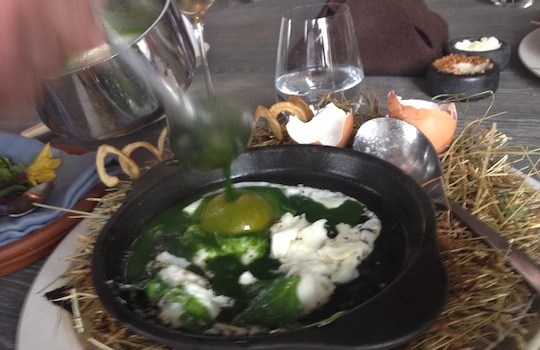 Galleria fotografica






In cammino verso il Noma. Il ristorante è al piano terra del palazzone più a sinistra. Per arrivarci dalla popolare insenatura di Nyhavn (il punto da cui è scattata la foto), occorre fare un bel giro. Ma si notano i lavori per la costruzione di un ponte. Che condurrà dritto all'insegna








Altra prospettiva sul Noma da Nyhavn. Il ristorante galleggia sulla Christianshavn, una delle tante isole artificiali che compongono Copenhagen








Di là del fiume, sulla lunga via che conduce allo spiazzo del Noma








Uno scenario molto tranquillo, di case pastello. Il silenzio è perché vanno tutti in bici













Al massimo si sente rombare qualche scafo








Il vascello davanti al Noma. Oltre a quella danese, sventolano le bandiere di Isole Far Oer e Groenlandia: le loro ambasciate sono nello stesso palazzo del ristorante. Coerenza nordica








Il retro del ristorante. L'80% delle 80 persone che lavorano al Noma viene a lavorare in bici, chef incluso








Dietro al ristorante, un'iscrizione ricorda i passeggeri scomparsi a bordo della danese Hans Hedtoft. Il transatlantico si scontrò il 30 gennaio 1959 contrò un iceberg in Groenlandia. Fu ritrovata solo una cintura di sicurezza
 








L'ingresso del ristorante, al civico 93 di Strandgade








La vista, ingresso alle spalle








Tra l'ingresso e la cucina a vista, spicca un corner di decoro simil-giapponese. A sinistra s'intravede Noma, time and place in Nordic Cuisine, edizioni Phaidon, un testo fondamentale per approfondire tutti i rivoli del Redzepi-mondo. La versione italiana si ordina qui








Una pianta di piccoli agrumi orla la cucina a vista








La porta d'ingresso vista dalla cucina








Le sedie, molto comode, sono anni Sessanta con schienali foderati di pelle di pecora, alcune più morbide di altre








I tavoli sono ampi e senza tovaglie. Attorno prevale il grigio e i colori rustici, sulle travi in legno del soffitto ma anche sulle divise dei ragazzi di sala








La finestra accanto al nostro tavolo








E' lo chef Rene Redzepi a introdurci al pasto: in un vaso di fiori danesi, l'unico pendaglio commestibile è una sorta di carta musica croccante (flatbread) di farina di malto all'aroma di ginepro. Nel piattino in basso, una deliziosa crème fraîche acida per intingerlo








Il flatbread è quello che svetta. "Ma se ci tenete, provate a mangiare anche i fiori", scherza Redzepi. Il cuoco scompare nelle segrete del Noma. Lo ritroveremo solo alla fine del pasto








Tutti i 14 appetizer si mangeranno con le mani. Unica posata, il coltello per tirar su e leccare la crème fraîche da sola (da fare quando tutti gli altri clienti son distratti, però)








Moss and Cep: Muschio di renna con polvere di funghi porcini. E' il corpo bianco, molto saporito ed evanescente, da intingere anch'esso nella crème fraîche
 








Crispy pork skin and black currant: Pelle di maiale croccante e ribes nero, lo strato più esterno. Aspro e croccante








Il ribes nero non ci lascerà prima di molto tempo








Blue mussels and celery: cozze e sedano. Solo due sono quelle buone








La parte inferiore del guscio è commestibile (ancora farina di malto)








Il quinto appetizer è nascosto in una deliziosa scatola di biscotti in latta della tradizione danese (chi non ricorda i Danish butter cookies?)








Cinque tondini, ma solo due "interessanti"








Si chiamano Cheese cookies, rocket and stems, letteralmente Biscotti al formaggio, ruchetta e gambi di erbe aromatiche, un felice snack potenzialmente riproducibile nei nord e nei sud del mondo








Appetizer #6: Potato and duck liver, Patate e fegato d'anatra: le patate croccanti sono in due strati e a mo' di sandwich racchiudono la mousse di fegato. La spolverata è di funghi trombette dei morti, disidratati e polverizzati, una tecnica che troveremo frequentemente








Dried carrot and sorrel, Carote grigliate a fuoco lento per 14 ore, disidratate e servite su polvere di fieno. Si intingono nell'emulsione di acetosella accanto. Un grande piatto perché di inattesa, energica acidità








Ottava entrée: Caramelized milk and cod liver, Biscotto di latte caramellato e fegato di merluzzo, quest'ultimo ghiacciato e pulito. Il secondo dona un aroma molto strong, che domina sul biscotto croccante. Per palati muscolari








Le uova dentro l'uovo








Pickled and smoked quails eggs, Uova di quaglia sbollentate, marinate e affumicate, un classico del Noma. Il tuorlo è completamente liquido








Col Veal fibres and söl, Filamenti di vitello e söl, decimo appetizer, entra in gioco per la prima volta un'alga di mare. E' il söl, appunto, dulse in inglese, Palmaria palmata nella tassonomia scientifica, un'alga rossa incastrata nei filamenti di vitello precedentemente tagliati sottili e poi fritti. Curioso l'impiatto a nido di ingredienti che alla fine incastrano terra e mare








Herb Toast and smoked cod roe, Toast alle erbe e uova di merluzzo affumicato, un'altra grandiosa tapa nordica da far su in due bocconi. Se non ricordiamo male, lo strato superiore è brodo di fegato d'anatra disidratato








Radish, soil and grass, Rapanello, "suolo" ed erba, un altro grande classico del Noma, un paesaggio commestibile di chiara genesi basca-adrianesca, molto replicato negli anni. Carote baby e rapanelli sono interrati in un "suolo" che è una crema di farina di malto con nocciole disidratate. Sotto ancora, uno yogurt di erbe. Finite le verdure, abbiamo chiesto dei cucchiaini per ripulire il suolo








Una foto (di spreadbutter) chiarisce meglio il contenuto del vasetto








Æbleskiver e muikku, penultimo appetizer, di concezione piuttosto recente. Un'antica tradizione dolce danese (Æbleskiver significa "piccoli pezzi di mela" ma la mela qui non c'è) è presentata in versione salata. Code e teste dei muikku, sorta di aringhe baby, sono infilzate in due bigné dall'impasto molto morbido con del ripieno di cetriolo marinato, ben riconoscibile al palato. L'aspetto dispone il cliente alla sfida ma la sua bizzarria visiva si scioglie presto in due bocconi morbidi, eleganti e deliziosi








Ultimo di 14 appetizer: Sorrel leaf and cricket paste, Foglia di acetosella (leggermente piccante) con pasta di grillo. Sì, proprio l'insetto dei prati, qui in consistenza di crema, inserita nel gambo dell'acetosella. Mettendo a fermentare grilli e orzo fermentato, Redzepi ha ottenuto una sorta di garum molto interessante, simile alla soia. Completa il piatto in foto, una granita di nasturzio ghiacciato








E il vino? Non producendo la Danimarca nettari di rilievo, è forse il capitolo meno allettante del Noma. La carta è un trionfo di vini ottenuti in climi freddi: francesi, tedeschi o austriaci soprattutto. Vini di acidità spinta che si combinano bene con le prevalenti acidità dei piatti. Le persone inquadrate nella foto hanno optato per il pairing coi succhi di frutta, quelli sì interessanti e autoctoni: il percorso prevede 7-8 succhi tra cui carote e ginepro, sedano e sedanorapa, cetriolo, eccetera. E i vini italiani? Pochi e tutti rossi, soprattutto di produttori di nebbiolo del Piemonte. "Ma li chiedono solo i norvegesi", ci raccontano








Terminati appetizer e main courses, sbirciamo i lavori in cucina. In primo piano, Samuel Nutter, sous chef inglese








Al centro, riconosciamo Matthew Orlando di San Diego, 35 anni e da 4 e mezzo head chef del Noma. Più tardi ci rivelerà che entro un paio d'anni aprirà il suo ristorante a Copenhagen. "E Renè che ne pensa?", chiediamo. "E' proprio lui a incoraggiarci a metterci in proprio", risponde Orlando. Vero, chiedere anche a Christian Puglisi








Ancora Orlando ci spiegherà che, tra sala, cucina, preparazioni e laboratorio, il Noma arriva a impiegare dall'alba a mezzanotte fino a 80 persone








La cucina prevede 7 comparti: il caldo, il freddo, la pasticceria, gli snack, produzione e mise-en-place, le preparazioni della squadra del mattino e la ricerca (su quest'ultima torneremo più avanti). Gli stagisti scelgono di lavorarci, sapendo di non essere pagati. Redzepi riceve un centinaio di curricula a settimana








Torniamo a tavola e troviamo nuove posate: rami appuntiti di sambuco








Servono a infilzare il primo delle portate "serie", Potato and snails, patate e lumache, servito in due piatti. Il primo è una terrina (rovente) di piccole deliziose patate affumicate e semiaffogate in una salsa al burro dolce e al tavolo spolverate con sale proprio di sambuco. Accanto, piccoli ceppi d'albero affumicati








Accanto, l'altra metà del piatto da infilzare coi bastoncini di sambuco: lumache glassate nel loro succo con burro dolce, olio al prezzemolo ed emulsione di piselli fermentati








Dopo 15 portate arrivano le posate. "Si torna alla civiltà", scherza il ragazzo di sala








...e arriva pure il pane, nascosto in una stoffa soffice con accanto due ciotoline che contengono burro da latte di capra e burro di grasso e crumble di maiale. Colesterolemici, vade retro








Solleviamo la stoffa: il pane è una pagnotta di lievito naturale di grano locale. La crosta è super-fragrante e il cuore molto sofficie e poroso








Cooked fava beans and beach herbs, Fave stufate gentilmente ed "erbe di spiaggia" (che poi sono diversi tipi di alghe di mare). Le fave sono fantastiche nella loro compattezza inaspettatamente dolce








Con la terza portata del ciclo "serio" veniamo ai ragazzi di sala: sono tutti molto professionali ma anche rilassati. Tra i 30 e i 40 anni, molti tatuati, ruotano di continuo al nostro tavolo: una trentina dei piatti sono stati serviti e illustrati da 10 camerieri diversi, molti dei quali cuochi dei livelli più alti della gerarchia. Il ragazzo in foto che ci serve Berries and cucumber, Bacche e cetrioli, si chiama Beau Clugston, è australiano e da poche ore è un nuovo sous-chef del Noma








Ai frutti di bosco e insalata di cetrioli si unisce del succo di camomilla...








...et voilà








Insalata di brown crab (granchi atlantici), tuorlo d'uovo, erbe di campo e il rosso sono le uova del granchio. I ragazzi si raccomandano di fare attenzione perchè potrebbe esserci del carapace o delle chele: la carne del granchio è stata rimossa tutta a mano. Noi ci scontriamo solo con un fresco schiaffo iodato








Accanto alle langoustine, scampi norvegesi, torna l'alga söl, questa volta in forma di emulsione con acqua di ostriche. I puntini rossi sono segale disidratata








Cavolfiore e pino, crema e rafano. Pensi a una capasanta e invece è un trancio di cavolfiore quello che spunta da sotto gli aghi di pino. E' ricavato dalla parte alta dell'ortaggio, arrostito a arricchito con gli aromi di pino, abete, ginepro e rafano. L'orto e il silvestre








Lucioperca con gambi di verdure. Impeccabile ma insolitamente classico nella sua concezione su salsa al burro e capperi. Incuriosisce la disposizione, che lascia intonsa più di metà del piatto. Come a voler lasciar libero il lucioperca di sguazzare di nuovo








Arrivano in tavola nuovi oggetti: olio di fieno e un cronometro. E' l'inizio del gioco di The hen and the egg, La gallina e l'uovo








The hen and the egg #2: attorno a un tegamino rovente su del fieno appena umido, notiamo una chips a spirale di patata e un uovo (d'anatra, ci dicono)








The hen and the egg #3: accanto al tegame, foglie di spinaci, aglio selvatico, germogli e fiori di campo vari








The hen and the egg #4. "Dovete rompere voi l'uovo e cuocerlo", ci spiegano armati di olio di fieno, che spruzzeranno nel tegame prima del nostro esercizio








The hen and the egg #5: son riuscito a non sbrodolare. Il piatto, spiegherà Redzepi poi, "E' un po' un invito sdrammatizzante a cucinare. Sono rimasto sorpreso dal fatto che tanti clienti non hanno mai rotto un uovo. Cerco di mostrare loro che la cucina è in fondo un esercizio molto elementare"





