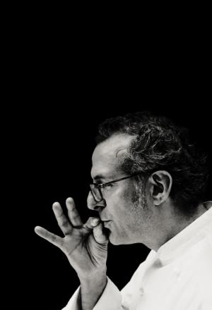 Photogallery






Lo staff del Celler de Can Roca di Girona in pellegrinaggio in pausa pranzo in direzione Can Roca, il ristorante di Monsterrat Fontanè, mamma di Joan, Josep e Jordi Roca. "Per me", spiega la signora nel libro di Jörgensen, "è come cucinare per un'unica grande, felice famiglia allargata" (foto PAJ/Phaidon)








Paolo Lopriore (foto PAJ/Phaidon)








Gianluca Gorini, all'epoca sous chef di Lopriore al Canto, nell'esercizio di foraging nella campagna di Siena. Da qualche mese è lo chef de Le Giare di Montiano (Forlì-Cesena) (foto PAJ/Phaidon)





