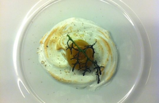 Galleria fotograficaOstrica con cru di cacao, lardo di colonnata, limone e crema di erbe di Salvatore BiancoFrittella di murena con torzella stufata e maionese di limone in cartoccio di Pasquale PalamaroTortello con cuore di ricciola, broccoli, provola in salsa bouillabaisse di Vincenzo GuarinoCernia all'olio con pesto di lattuga di mare, salsa di olive taggiasche e patate allo zafferano di Luigi TramontanoVitellone con mozzarella di bufala campana Dop di Rosanna Marziale