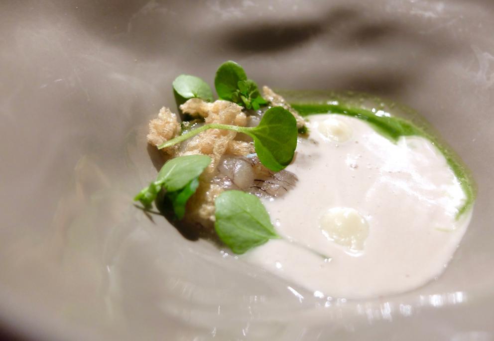 Galleria fotografica






La nostra cena all'Undicesimo Vineria negli scatti di Tanio Liotta. Si parte con il territorio mandato in orbita: Radicchio rosso di Treviso, acidulato di umeboshi, rose e litches









Cialda di fagiolo Mug, rapa rossa e karkadè









Dashi croccante, sedano rapa e alga nori









Cannolo di topinambur ed erba di San Pietro canforata









Tacos di mandorla, carota, lime e coriandolo






