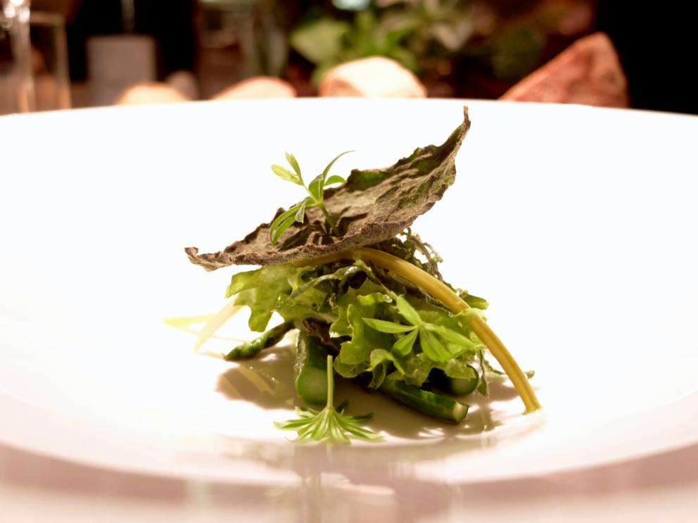 Galleria fotografica






La nostra splendida cena da Antonia Klugmann nelle foto di Tanio Liotta. Si inizia con Fagottino di bieta sbollentata, carota candita, curcuma, peperoncino, succo di limone e trifoglio









Cozza di Sistiana, bottarga (in gel e grattugiata), zenzero candito, prezzemolo, coriandolo e nigella: buonissimo









Baccalà mantecato e rapa rossa: il baccalà mantecato con evo, tre espressioni della rapa (centrifugata, cruda tagliata sottile e affumicata)









Gambero rosa crudo e friggitello alla fiamma, salsa del friggitello, bisque di gambero, dragoncello









Midollo di manzo e cime di broccolo, il suo gambo in salamoia, una sua centrifuga, la foglia spadellata, silene, olio, polvere e purea di bergamotto: piatto indimenticabile






