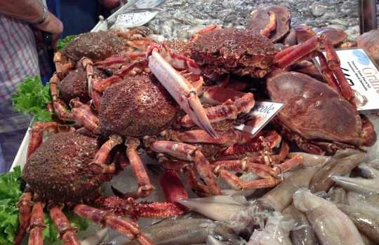 Galleria fotografica






A spasso tra i canali di Venezia. Esclusa l'estemporanea grandinata di domenica 24, la dodicesima edizione della S.Pellegrino Cooking Cup ha regalato un clima memorabile








Globetrotter, signature dish di Lorenzo Cogo alla Cooking Cup 2012








Il signature dish di Martin Volkaerts, belga dell'Air du Temps








Aragosta con vinaigrette d’ostrica e quinoa croccante, piatto che è valso a David Frenkel del Pronto di Tel Aviv, Israele, il People Choice’s Award 2012








Dumpling di lardo e gamberi con asparagi, tartufi di mare e erbe estive, signature dish di Richard Ousby del Quay di Sydney, Young Chef of the Year 2012








Bietola di sgombro con crema d'aglio, piselli e riso saltato, il piatto cucinato in mare dal vincitore Richard Ousby








La pietanza disegnata sabato sera da Jacob Holmstrom del Gastrologik di Stoccolma: un viaggio attorno al salmone che ha convinto tutti i giurati (e che gli è valso il secondo posto finale)








Daniel Berlin, Massimo Bottura, Davide Scabin, la foodblogger Lydia Capasso, Mauro Colagreco e Franco Favaretto valutano i piatti in gara nella hall del Molino Stucky Hilton di Venezia, teatro della prima sera dell'evento








Particolare del piatto del giovane cuoco russo in concorso: Anatoly Kazakov del Bon di Mosca





