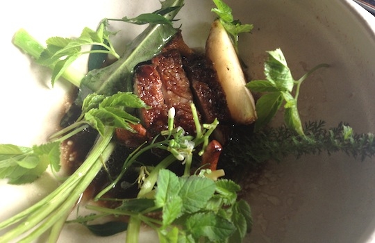 Galleria fotografica






In cammino verso il Noma. Il ristorante è al piano terra del palazzone più a sinistra. Per arrivarci dalla popolare insenatura di Nyhavn (il punto da cui è scattata la foto), occorre fare un bel giro. Ma si notano i lavori per la costruzione di un ponte. Che condurrà dritto all'insegna








Altra prospettiva sul Noma da Nyhavn. Il ristorante galleggia sulla Christianshavn, una delle tante isole artificiali che compongono Copenhagen








Di là del fiume, sulla lunga via che conduce allo spiazzo del Noma








Uno scenario molto tranquillo, di case pastello. Il silenzio è perché vanno tutti in bici













Al massimo si sente rombare qualche scafo








Il vascello davanti al Noma. Oltre a quella danese, sventolano le bandiere di Isole Far Oer e Groenlandia: le loro ambasciate sono nello stesso palazzo del ristorante. Coerenza nordica








Il retro del ristorante. L'80% delle 80 persone che lavorano al Noma viene a lavorare in bici, chef incluso








Dietro al ristorante, un'iscrizione ricorda i passeggeri scomparsi a bordo della danese Hans Hedtoft. Il transatlantico si scontrò il 30 gennaio 1959 contrò un iceberg in Groenlandia. Fu ritrovata solo una cintura di sicurezza
 








L'ingresso del ristorante, al civico 93 di Strandgade








La vista, ingresso alle spalle








Tra l'ingresso e la cucina a vista, spicca un corner di decoro simil-giapponese. A sinistra s'intravede Noma, time and place in Nordic Cuisine, edizioni Phaidon, un testo fondamentale per approfondire tutti i rivoli del Redzepi-mondo. La versione italiana si ordina qui








Una pianta di piccoli agrumi orla la cucina a vista








La porta d'ingresso vista dalla cucina








Le sedie, molto comode, sono anni Sessanta con schienali foderati di pelle di pecora, alcune più morbide di altre








I tavoli sono ampi e senza tovaglie. Attorno prevale il grigio e i colori rustici, sulle travi in legno del soffitto ma anche sulle divise dei ragazzi di sala








La finestra accanto al nostro tavolo








E' lo chef Rene Redzepi a introdurci al pasto: in un vaso di fiori danesi, l'unico pendaglio commestibile è una sorta di carta musica croccante (flatbread) di farina di malto all'aroma di ginepro. Nel piattino in basso, una deliziosa crème fraîche acida per intingerlo








Il flatbread è quello che svetta. "Ma se ci tenete, provate a mangiare anche i fiori", scherza Redzepi. Il cuoco scompare nelle segrete del Noma. Lo ritroveremo solo alla fine del pasto








Tutti i 14 appetizer si mangeranno con le mani. Unica posata, il coltello per tirar su e leccare la crème fraîche da sola (da fare quando tutti gli altri clienti son distratti, però)








Moss and Cep: Muschio di renna con polvere di funghi porcini. E' il corpo bianco, molto saporito ed evanescente, da intingere anch'esso nella crème fraîche
 








Crispy pork skin and black currant: Pelle di maiale croccante e ribes nero, lo strato più esterno. Aspro e croccante








Il ribes nero non ci lascerà prima di molto tempo








Blue mussels and celery: cozze e sedano. Solo due sono quelle buone








La parte inferiore del guscio è commestibile (ancora farina di malto)








Il quinto appetizer è nascosto in una deliziosa scatola di biscotti in latta della tradizione danese (chi non ricorda i Danish butter cookies?)








Cinque tondini, ma solo due "interessanti"








Si chiamano Cheese cookies, rocket and stems, letteralmente Biscotti al formaggio, ruchetta e gambi di erbe aromatiche, un felice snack potenzialmente riproducibile nei nord e nei sud del mondo








Appetizer #6: Potato and duck liver, Patate e fegato d'anatra: le patate croccanti sono in due strati e a mo' di sandwich racchiudono la mousse di fegato. La spolverata è di funghi trombette dei morti, disidratati e polverizzati, una tecnica che troveremo frequentemente








Dried carrot and sorrel, Carote grigliate a fuoco lento per 14 ore, disidratate e servite su polvere di fieno. Si intingono nell'emulsione di acetosella accanto. Un grande piatto perché di inattesa, energica acidità








Ottava entrée: Caramelized milk and cod liver, Biscotto di latte caramellato e fegato di merluzzo, quest'ultimo ghiacciato e pulito. Il secondo dona un aroma molto strong, che domina sul biscotto croccante. Per palati muscolari








Le uova dentro l'uovo








Pickled and smoked quails eggs, Uova di quaglia sbollentate, marinate e affumicate, un classico del Noma. Il tuorlo è completamente liquido








Col Veal fibres and söl, Filamenti di vitello e söl, decimo appetizer, entra in gioco per la prima volta un'alga di mare. E' il söl, appunto, dulse in inglese, Palmaria palmata nella tassonomia scientifica, un'alga rossa incastrata nei filamenti di vitello precedentemente tagliati sottili e poi fritti. Curioso l'impiatto a nido di ingredienti che alla fine incastrano terra e mare








Herb Toast and smoked cod roe, Toast alle erbe e uova di merluzzo affumicato, un'altra grandiosa tapa nordica da far su in due bocconi. Se non ricordiamo male, lo strato superiore è brodo di fegato d'anatra disidratato








Radish, soil and grass, Rapanello, "suolo" ed erba, un altro grande classico del Noma, un paesaggio commestibile di chiara genesi basca-adrianesca, molto replicato negli anni. Carote baby e rapanelli sono interrati in un "suolo" che è una crema di farina di malto con nocciole disidratate. Sotto ancora, uno yogurt di erbe. Finite le verdure, abbiamo chiesto dei cucchiaini per ripulire il suolo








Una foto (di spreadbutter) chiarisce meglio il contenuto del vasetto








Æbleskiver e muikku, penultimo appetizer, di concezione piuttosto recente. Un'antica tradizione dolce danese (Æbleskiver significa "piccoli pezzi di mela" ma la mela qui non c'è) è presentata in versione salata. Code e teste dei muikku, sorta di aringhe baby, sono infilzate in due bigné dall'impasto molto morbido con del ripieno di cetriolo marinato, ben riconoscibile al palato. L'aspetto dispone il cliente alla sfida ma la sua bizzarria visiva si scioglie presto in due bocconi morbidi, eleganti e deliziosi








Ultimo di 14 appetizer: Sorrel leaf and cricket paste, Foglia di acetosella (leggermente piccante) con pasta di grillo. Sì, proprio l'insetto dei prati, qui in consistenza di crema, inserita nel gambo dell'acetosella. Mettendo a fermentare grilli e orzo fermentato, Redzepi ha ottenuto una sorta di garum molto interessante, simile alla soia. Completa il piatto in foto, una granita di nasturzio ghiacciato








E il vino? Non producendo la Danimarca nettari di rilievo, è forse il capitolo meno allettante del Noma. La carta è un trionfo di vini ottenuti in climi freddi: francesi, tedeschi o austriaci soprattutto. Vini di acidità spinta che si combinano bene con le prevalenti acidità dei piatti. Le persone inquadrate nella foto hanno optato per il pairing coi succhi di frutta, quelli sì interessanti e autoctoni: il percorso prevede 7-8 succhi tra cui carote e ginepro, sedano e sedanorapa, cetriolo, eccetera. E i vini italiani? Pochi e tutti rossi, soprattutto di produttori di nebbiolo del Piemonte. "Ma li chiedono solo i norvegesi", ci raccontano








Terminati appetizer e main courses, sbirciamo i lavori in cucina. In primo piano, Samuel Nutter, sous chef inglese








Al centro, riconosciamo Matthew Orlando di San Diego, 35 anni e da 4 e mezzo head chef del Noma. Più tardi ci rivelerà che entro un paio d'anni aprirà il suo ristorante a Copenhagen. "E Renè che ne pensa?", chiediamo. "E' proprio lui a incoraggiarci a metterci in proprio", risponde Orlando. Vero, chiedere anche a Christian Puglisi








Ancora Orlando ci spiegherà che, tra sala, cucina, preparazioni e laboratorio, il Noma arriva a impiegare dall'alba a mezzanotte fino a 80 persone








La cucina prevede 7 comparti: il caldo, il freddo, la pasticceria, gli snack, produzione e mise-en-place, le preparazioni della squadra del mattino e la ricerca (su quest'ultima torneremo più avanti). Gli stagisti scelgono di lavorarci, sapendo di non essere pagati. Redzepi riceve un centinaio di curricula a settimana








Torniamo a tavola e troviamo nuove posate: rami appuntiti di sambuco








Servono a infilzare il primo delle portate "serie", Potato and snails, patate e lumache, servito in due piatti. Il primo è una terrina (rovente) di piccole deliziose patate affumicate e semiaffogate in una salsa al burro dolce e al tavolo spolverate con sale proprio di sambuco. Accanto, piccoli ceppi d'albero affumicati








Accanto, l'altra metà del piatto da infilzare coi bastoncini di sambuco: lumache glassate nel loro succo con burro dolce, olio al prezzemolo ed emulsione di piselli fermentati








Dopo 15 portate arrivano le posate. "Si torna alla civiltà", scherza il ragazzo di sala








...e arriva pure il pane, nascosto in una stoffa soffice con accanto due ciotoline che contengono burro da latte di capra e burro di grasso e crumble di maiale. Colesterolemici, vade retro








Solleviamo la stoffa: il pane è una pagnotta di lievito naturale di grano locale. La crosta è super-fragrante e il cuore molto sofficie e poroso








Cooked fava beans and beach herbs, Fave stufate gentilmente ed "erbe di spiaggia" (che poi sono diversi tipi di alghe di mare). Le fave sono fantastiche nella loro compattezza inaspettatamente dolce








Con la terza portata del ciclo "serio" veniamo ai ragazzi di sala: sono tutti molto professionali ma anche rilassati. Tra i 30 e i 40 anni, molti tatuati, ruotano di continuo al nostro tavolo: una trentina dei piatti sono stati serviti e illustrati da 10 camerieri diversi, molti dei quali cuochi dei livelli più alti della gerarchia. Il ragazzo in foto che ci serve Berries and cucumber, Bacche e cetrioli, si chiama Beau Clugston, è australiano e da poche ore è un nuovo sous-chef del Noma








Ai frutti di bosco e insalata di cetrioli si unisce del succo di camomilla...








...et voilà








Insalata di brown crab (granchi atlantici), tuorlo d'uovo, erbe di campo e il rosso sono le uova del granchio. I ragazzi si raccomandano di fare attenzione perchè potrebbe esserci del carapace o delle chele: la carne del granchio è stata rimossa tutta a mano. Noi ci scontriamo solo con un fresco schiaffo iodato








Accanto alle langoustine, scampi norvegesi, torna l'alga söl, questa volta in forma di emulsione con acqua di ostriche. I puntini rossi sono segale disidratata








Cavolfiore e pino, crema e rafano. Pensi a una capasanta e invece è un trancio di cavolfiore quello che spunta da sotto gli aghi di pino. E' ricavato dalla parte alta dell'ortaggio, arrostito a arricchito con gli aromi di pino, abete, ginepro e rafano. L'orto e il silvestre








Lucioperca con gambi di verdure. Impeccabile ma insolitamente classico nella sua concezione su salsa al burro e capperi. Incuriosisce la disposizione, che lascia intonsa più di metà del piatto. Come a voler lasciar libero il lucioperca di sguazzare di nuovo








Arrivano in tavola nuovi oggetti: olio di fieno e un cronometro. E' l'inizio del gioco di The hen and the egg, La gallina e l'uovo








The hen and the egg #2: attorno a un tegamino rovente su del fieno appena umido, notiamo una chips a spirale di patata e un uovo (d'anatra, ci dicono)








The hen and the egg #3: accanto al tegame, foglie di spinaci, aglio selvatico, germogli e fiori di campo vari








The hen and the egg #4. "Dovete rompere voi l'uovo e cuocerlo", ci spiegano armati di olio di fieno, che spruzzeranno nel tegame prima del nostro esercizio








The hen and the egg #5: son riuscito a non sbrodolare. Il piatto, spiegherà Redzepi poi, "E' un po' un invito sdrammatizzante a cucinare. Sono rimasto sorpreso dal fatto che tanti clienti non hanno mai rotto un uovo. Cerco di mostrare loro che la cucina è in fondo un esercizio molto elementare"








The hen and the egg #6: dopo 120 secondi esatti di cronometro, si uniscono all'uovo le verdure e si rimesta il tutto








The hen and the egg #7: tocco finale, una salsa di acetosella. Il piatto non è memorabile...








...ma il risultato è lo stesso delle 21 portate precedenti: piatto spazzolato The hen and the egg #8





