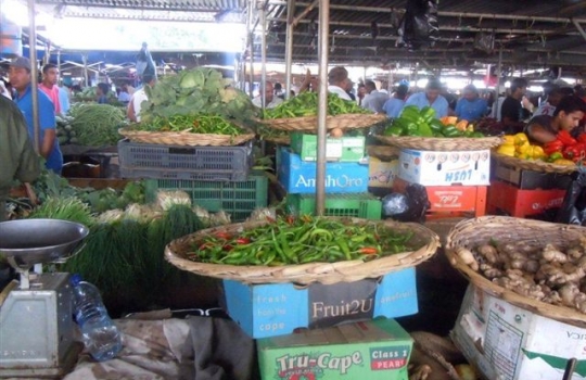 Galleria fotografica






Da sinistra, Federico Zanasi, Luca D’Amora e Moreno Cedroni. Dalle Marche alle Mauritius








A destra, Federico Zanasi con gli altri due chef del Long Beach. Oltre a Sapori e Hasu, diretti dai cuochi italiani, il resort ospita Chopsticks (cucina cinese), Tides (cucina di mare d'impronta francese) e Le Marchè (buffet e colazioni)








Il tunnel sotterraneo del resort. Ai lati, le stanze in cui si prepara la materia prima da spedire ai vari ristoranti di sopra








Pesci oceanici mauriziani. Su tutti dominano gli snapper, red o white, lontani parenti del dentice





