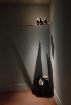 Photogallery






 
Modena’s colonnades, 186 thousand inhabitants and 3 restaurants with at least one Michelin star: Hostaria del Mare (1), Erba del Re (1) and Osteria Francescana (3 stars), our destination
 








Yellow and red tones prevail








The city still bears the signs of the May 2012 earthquake. On May 4th 2013, the day of our visit, a 3.8 magnitude earthquake was registered













By chance, Giuseppe Palmieri, maître and sommelier, appears from the grey door








Palmieri, 38, born in Matera. His first service in Francescana was on September 12th 2000








The old entrance to the restaurant, at number 24 in Via della Stella - as on the opening in 1995. It changed in September 2012: today you enter from number 22. Funnily enough, Google Maps is still set on the old entrance








The present entrance doors








Let’s start








After the latest renovations, the transit areas inside the Osteria appear as a contemporary art gallery








Mario Schifano’s world map








"Tourists", Maurizio Cattelan’s famous pigeons





