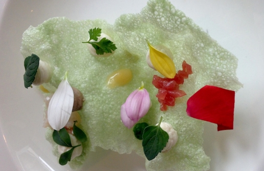 Galleria fotografica






Acqua, olio, limone e liquirizia ormai un classico taglientiano. Apertura fresca e aromatica (la ricetta è qui)








Bianco e nero di seppia, il piatto più ruffiano del nostro percorso: sotto le sfoglie di seppia che disegnano un tao, la panna cotta ai ricci di mare invita a ripulire il piatto in ogni briciola. La simmetria del piatto è interrotta da uno spaghetto stracotto, "simbolo di italianità"








Ostrica, diaframma e granita alle rose, altra entrée fresca ma anche selvatica e ferrosa








Passatina di gamberi, ceci e nocciole, Fulvio Pierangelini ribaltato








Anguilla al ribes con zabaione all’amarena





