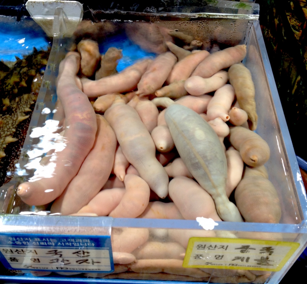 Galleria fotografica






Panoramica dal 32mo piano del Lotte Hotel di Seul. La capitale della Corea del Sud (che i locali pronunciano "sol"), con 10 milioni di abitanti (25 considerando tutta la proncia di Gyeonggi) è tra le città più popolose al mondo








Sfigurata nel Novecento dai Giapponesi (prima parte del secolo) e dalla guerra di Corea (1950-1953), oggi Seul ha un aspetto moderno, piuttosto occidentale








Con decine di milioni di turisti all'anno, Seul è tra le 10 città più visitate al mondo. Nella foto, una delle attrazioni più viste in città: il Dongdaemun Design Plaza, progettato da Zaha Adid e Samoo e completato nel marzo del 2014
 








A passeggio per il quartiere di Myeongdong, molto frequentato anche per l’alta concentrazione di ristoranti








Il viaggio era cominciato bene: tra le opzioni commestibili sui voli di Korean Air c’è proprio una squisita Bibimpap, con tanto di foglietto illustrativo








Bancarelle all’ingresso del mercato Namdaemun, tra i più popolari di Seul. Chiunque può andare e comprare; non occorrono licenze








Namdaemun, trippa a mollo








L’affitto di una bancarella al Namdaemun costa circa 2.000 dollari americani al mese, ma consente un ricavo medio mensile di almeno il doppio








Cozze giganti, molto popolari sulle tavole coreane








I mercati sono sterminati, molto puliti e per nulla caotici








All’interno del mercato, c’è anche un ristorante molto spartano e molto buono. Serve di tutto: hoe (pesce crudo), kimchi (verdure fermentate), guk tang (zuppe), bibimpap…








Baek kimchi: cavolo stufato con rape bianche, pere, prezzemolo coreano. Talvolta è servito anche con le castagne








Scodella di Bibimbap








Uova di quaglia bollite, aglio e edamame








A chiusura del pasto, ecco una bella zuppa fumante (erano le 8 del mattino)








Zuppa di alghe e merluzzo








Mingles, sulla Cheongdam-dong nel quartiere di Gangnam-gu, è l’indirizzo più interessante di cucina coreana contemporanea. L’ha aperto poco più di un anno fa Mingoo Kang, tornato a casa dopo esperienze da Martin Berasategui e da Nobu Bahamas








Mingoo Kang propone un solo menu degustazione da 88.000 won (circa 70 euro). Ognuno dei piatti contiene sempre un elemento fermentato








Mingles esprime un approccio creativo fondato però sulle salse fermentate, pilastro della cucina coreana tradizionale: cho (aceto), gan-jang (salsa di soia), gochu-jang (pasta molto piccante di peperoni rossi, fagioli di soia bolliti e sale), doen-jang (pasta di fagioli di soia), erbe e spezie








Composizione iniziale di amuse bouche. Da sinistra a destra: Polpo, foglia di senape e pasta di aioli fermentata; Gelatina di bacche omija, zuppetta di asparagi bianchi, mirtilli e spuma di aceto nero e Pera arrotolata nella sogliola (salsa di gochu jang marinata nello yuzu), uva e peperoncino








Sandwich di fegato di rana pescatrice in sfoglia di miele su chip di funghi








Insalata di noodle di riso con senape coreana, spuma di tofu, alghe marinate, abalone e aragosta








Torchon di foie gras marinato nel doen jang (pasta di fagioli di soia), vino di prugne dorate corane e kimchi bianco








Branzino al vapore con calamari mignon brasati in cima e alga combu, brodo di alghe, granchio e kimchi bianco








Cracker di alghe e tapioca con polvere di tartufo, uova di salmone, melanzana e purea di mango








Noodle di umami (capelli d’angelo, pasta di alghe e inchiostro di seppia), brodo di pollo e pesce, spuma di lemongrass, ricci di mare, ostriche fritte e gambero








Per dessert, Crème brulee di jang tro, pican di gan-jang, gochu-jang, gelato alla vaniglia e spuma di whisky








La squadra del ristorante Mingles fa festa a fine cena coi colleghi dell’Osteria Francescana. Al centro, Massimo Bottura, presenza illustre del Seoul Gourmet Festival (leggi qui)








Al centro, Vivian Han, patron del ristorante Congdu, uno dei più quotati in città, il posto ideale esperire la doppia anima della cucina coreana, tra la tradizione e una avanguardia moderata. Con lei si riconoscono lo chef Hwan Eui Lee e Chris Kwon, regista di sala (foto David Rosengarten)








The bella veranda del ristorante Congdu, indirizzo 116-1 Deoksu Palace








Spalla di maiale Jeju cotta in bassa temperatura per 48 ore con gimchi invecchiato








Carpaccio di manzo con 3 tipi di salsa di soia stagionata, caviale e insalata di fiori








Il cocktail più noto del Congdu: makgeolli di fagioli neri e ginseng rosso invecchiato 6 anni








AND dining, il ristorante di Jinmo Jang, si trova sulla Hannam-dong, quartiere di Yongsan-gu, quartiere vivace ad alto tasso hispter nella periferia meridionale della città. Si accede al ristorante di fine dining da una porticina, dopo aver passato una caffetteria da colazione








E’ un bancone di soli 8 coperti in tutto, con 3 persone in cucina. Solo menu degustazione da 130.000 won (105 euro circa)








Jinmo Jang, 30 anni, e il suo sous chef ByeongCheol Mun, 21 anni. La cucina di AND parte da una base coreana ma poi spazia in tutto il mondo, con richiami alla Nordic Cuisine e ampie parentesi anche al tecno-emozionale di stampo spagnolo (sifoni, maltodestrine, eccetera)








Amuse bouche: Minisandwich di mela e formaggio di capra, croquette alla carota e arancio, latte di tigre e tuorlo d’uovo al tartufo. Sotto, tartufo al cioccolato e gochujang








Tartare di capasanta con latte di ricci di mare e neve








Sea ("mare"): sabbia edibile di aringhe affumicate, alghe, olio di fagioli fermentati con maltodestrina di tapioca. Il tutto è servito con gamberi al vapore, lumache di mare, vongole, ostriche feremntate e tunicata








Abalone e uova di triglia disidratate








Anatra su salsa di bietole








Peperoncini all’ingresso del Noryangin, l'altro monumentale mercato della città (con wi-fi pubblico)













Tunicata (sea squirt in inglese), mollusco molto popolare in Corea: tolto l’involucro gommoso, si preleva il contenuto e si frigge








Enorme la varietà di granchi coreani, buonissimi se fermentati nella salsa di soia (Gankang-gejang)








Prawns in fila








Granchi reali





