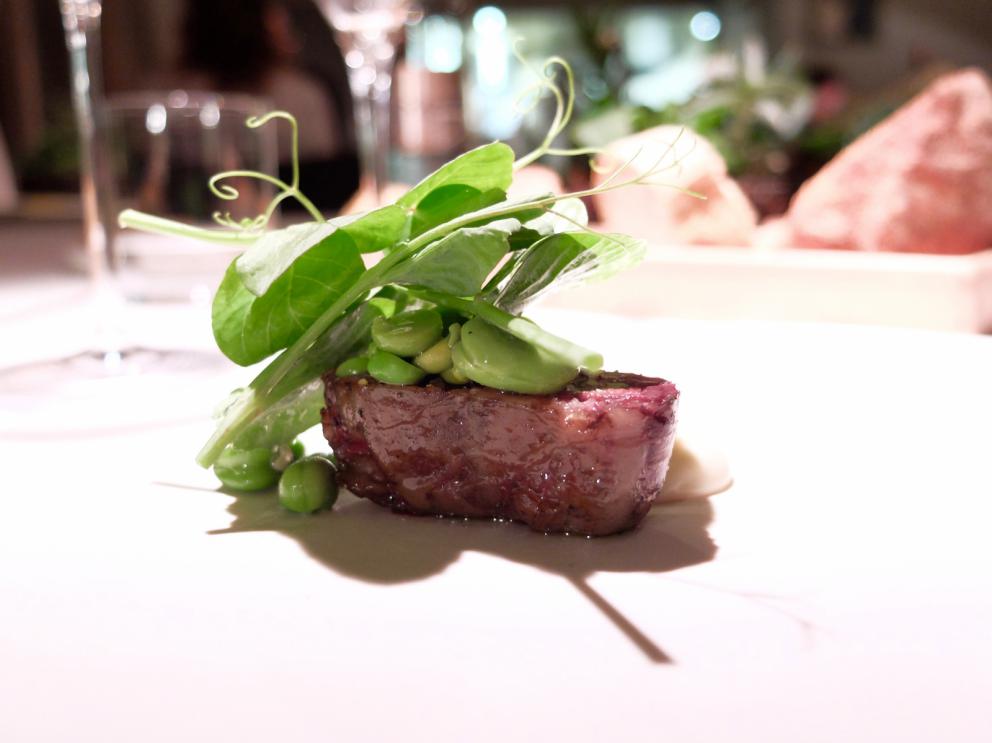 Galleria fotografica






La nostra splendida cena da Antonia Klugmann nelle foto di Tanio Liotta. Si inizia con Fagottino di bieta sbollentata, carota candita, curcuma, peperoncino, succo di limone e trifoglio









Cozza di Sistiana, bottarga (in gel e grattugiata), zenzero candito, prezzemolo, coriandolo e nigella: buonissimo









Baccalà mantecato e rapa rossa: il baccalà mantecato con evo, tre espressioni della rapa (centrifugata, cruda tagliata sottile e affumicata)









Gambero rosa crudo e friggitello alla fiamma, salsa del friggitello, bisque di gambero, dragoncello









Midollo di manzo e cime di broccolo, il suo gambo in salamoia, una sua centrifuga, la foglia spadellata, silene, olio, polvere e purea di bergamotto: piatto indimenticabile









Insalata: asparagi verdi sbollentati e poi scottati in padella, lattuga dell'orto, borragine essiccata, il suo gambo cotto in acqua e burro, stellina odorosa, centrifuga di acetosa. Altro piatto da Oscar, la composizione cambia di giorno in giorno, dipende da quello che si trova






