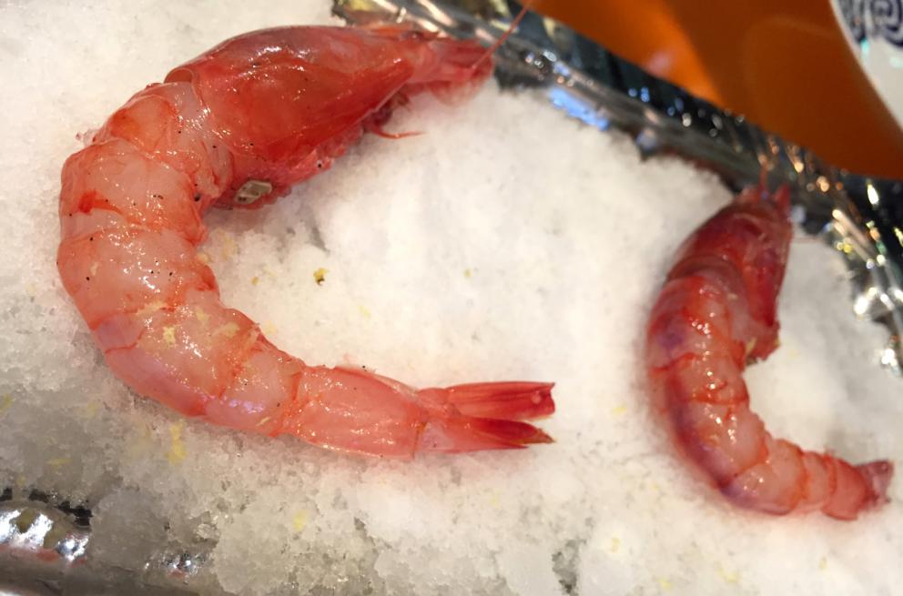 Galleria fotografica






Consommè de garbanzos. Prima che cominci il menu degustazione, viene portata al tavolo una bottiglia di vetro contenente del brodo freddo di ceci (in alto a destra). Ventitrè piatti dopo, alla fine del percorso "salato", verrà versato, in un bicchierino da grappa, del brodo caldo di jamon iberico da una teiera. Sopra ancora, la schiuma del brodo di ceci. Un caldo-freddo speciale (foto @ticketsbar instagram)









Tosta de pollo y anchoa. Primo piatto: toast di pelle di pollo con lisca di acciuga. A lato, una crema di acciughe composta da burro e pasta di acciughe









Olive Gordal. Uno dei simboli della saga Adrià: le olive sono immerse in un liquido d'olio extravergine d'oliva, cannella, buccia di limone e anice stellato. Si tirano su con un cucchiaino forato, si poggiano su una conchiglia di legno a lato e da qui in bocca. Gordal è una varietà dall'Andalusia









Prima preparazione rifinita al tavolo: Polo de almendras









Polo de almendras è uno stecco di gelato al latte di mandorle, spennellato sul posto con olio d'oliva e cosparso con granelle di mandorle, fiori di sambuco e sale. E' servito su un piatto con cubetti di ghiaccio. Dolce(salato) e gelato all'inizio del pasto e non alla fine, uno schema molto Adrià









Coliflor y caviar. Ganache di cavolfiore e caviale russo Schrenkii






