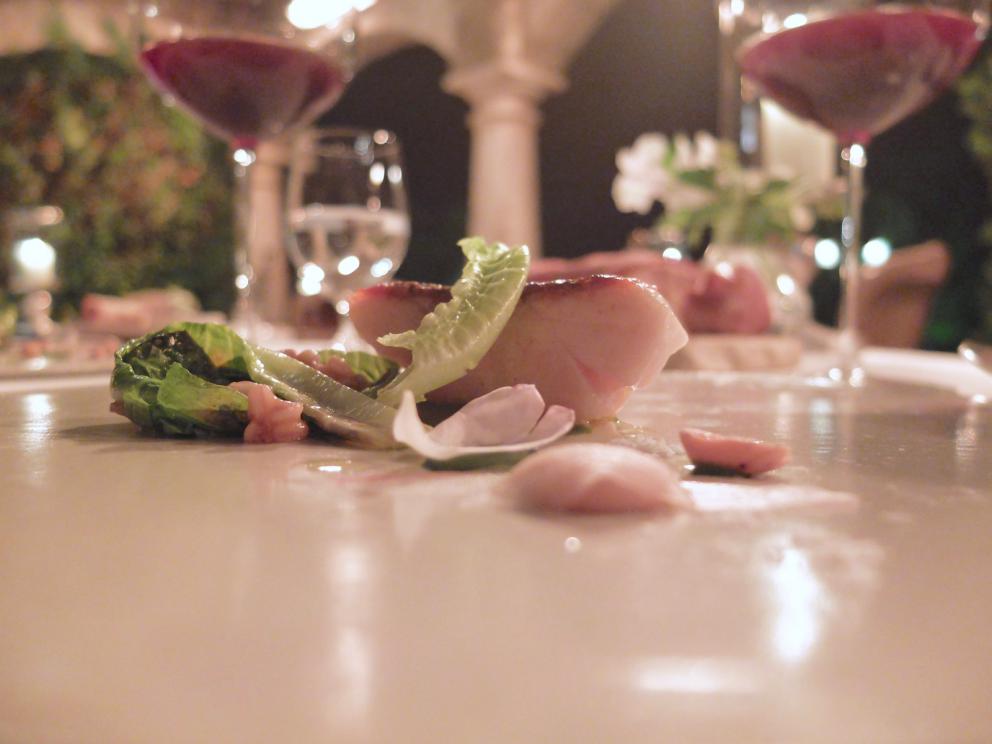 Photogallery






Our dinner at Meo Modo starts with various appetizers: hake tartare, gel of black olives and lime, sheep’s milk cheese with extra virgin olive oil and cypress, oregano and cheese cracker, black tomato with saffron mayonnaise, fermented tomato with crispy millet, pearls of crispy codfish









Celery sorbet, barbe brunoise and hazelnuts 









Fantastic salad made with 25 vegetables from the kitchen garden, with beetroot cream and cereal biscuit served with mushrooms, mushroom sponge, musk aroma and tomato infusion









The mushrooms sponge, aroma of musk and tomato infusion served with the salad









Squilla mantis, its crispy legs, cream of potato and lemon, crustacean bisque, cream of Palazzetto saffron









Chicken entrails, chicken liver pâté, smoked eel, puffed rooster crest









Excellent Verna wheat tagliolini with cream from the same wheat and apple geranium, mackerel cooked at low temperature and hemp seeds 









Cereals cooked as with risotto: Cream of pumpkin, toasted sunflower seeds and sunflowers 









Agnolotto with rabbit alla cacciatora, cream of Parmigiano, rosemary sauce, black olives and tomato 






