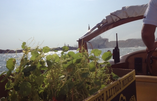 Galleria fotografica






A spasso tra i canali di Venezia. Esclusa l'estemporanea grandinata di domenica 24, la dodicesima edizione della S.Pellegrino Cooking Cup ha regalato un clima memorabile








Globetrotter, signature dish di Lorenzo Cogo alla Cooking Cup 2012








Il signature dish di Martin Volkaerts, belga dell'Air du Temps








Aragosta con vinaigrette d’ostrica e quinoa croccante, piatto che è valso a David Frenkel del Pronto di Tel Aviv, Israele, il People Choice’s Award 2012








Dumpling di lardo e gamberi con asparagi, tartufi di mare e erbe estive, signature dish di Richard Ousby del Quay di Sydney, Young Chef of the Year 2012








Bietola di sgombro con crema d'aglio, piselli e riso saltato, il piatto cucinato in mare dal vincitore Richard Ousby








La pietanza disegnata sabato sera da Jacob Holmstrom del Gastrologik di Stoccolma: un viaggio attorno al salmone che ha convinto tutti i giurati (e che gli è valso il secondo posto finale)








Daniel Berlin, Massimo Bottura, Davide Scabin, la foodblogger Lydia Capasso, Mauro Colagreco e Franco Favaretto valutano i piatti in gara nella hall del Molino Stucky Hilton di Venezia, teatro della prima sera dell'evento








Particolare del piatto del giovane cuoco russo in concorso: Anatoly Kazakov del Bon di Mosca








Domenica mattina, tutti i cuochi al mercato del pesce di Rialto a cercare gli ingredienti del Mystery Basket con cui comporre la ricetta a bordo








Delizie a Rialto





