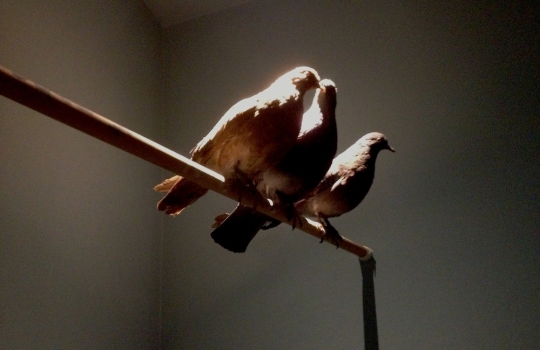 Photogallery






 
Modena’s colonnades, 186 thousand inhabitants and 3 restaurants with at least one Michelin star: Hostaria del Mare (1), Erba del Re (1) and Osteria Francescana (3 stars), our destination
 








Yellow and red tones prevail








The city still bears the signs of the May 2012 earthquake. On May 4th 2013, the day of our visit, a 3.8 magnitude earthquake was registered













By chance, Giuseppe Palmieri, maître and sommelier, appears from the grey door








Palmieri, 38, born in Matera. His first service in Francescana was on September 12th 2000








The old entrance to the restaurant, at number 24 in Via della Stella - as on the opening in 1995. It changed in September 2012: today you enter from number 22. Funnily enough, Google Maps is still set on the old entrance








The present entrance doors








Let’s start








After the latest renovations, the transit areas inside the Osteria appear as a contemporary art gallery








Mario Schifano’s world map





