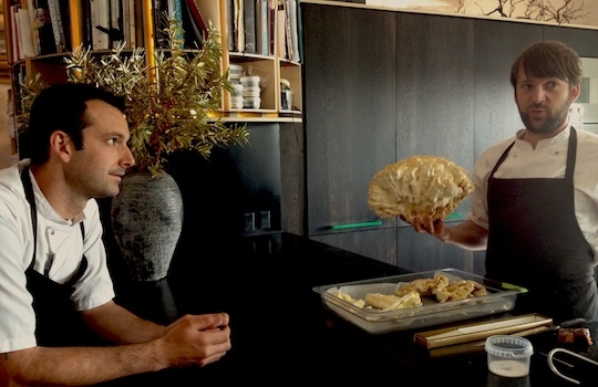 Galleria fotografica






In cammino verso il Noma. Il ristorante è al piano terra del palazzone più a sinistra. Per arrivarci dalla popolare insenatura di Nyhavn (il punto da cui è scattata la foto), occorre fare un bel giro. Ma si notano i lavori per la costruzione di un ponte. Che condurrà dritto all'insegna








Altra prospettiva sul Noma da Nyhavn. Il ristorante galleggia sulla Christianshavn, una delle tante isole artificiali che compongono Copenhagen








Di là del fiume, sulla lunga via che conduce allo spiazzo del Noma








Uno scenario molto tranquillo, di case pastello. Il silenzio è perché vanno tutti in bici













Al massimo si sente rombare qualche scafo








Il vascello davanti al Noma. Oltre a quella danese, sventolano le bandiere di Isole Far Oer e Groenlandia: le loro ambasciate sono nello stesso palazzo del ristorante. Coerenza nordica








Il retro del ristorante. L'80% delle 80 persone che lavorano al Noma viene a lavorare in bici, chef incluso








Dietro al ristorante, un'iscrizione ricorda i passeggeri scomparsi a bordo della danese Hans Hedtoft. Il transatlantico si scontrò il 30 gennaio 1959 contrò un iceberg in Groenlandia. Fu ritrovata solo una cintura di sicurezza
 








L'ingresso del ristorante, al civico 93 di Strandgade








La vista, ingresso alle spalle








Tra l'ingresso e la cucina a vista, spicca un corner di decoro simil-giapponese. A sinistra s'intravede Noma, time and place in Nordic Cuisine, edizioni Phaidon, un testo fondamentale per approfondire tutti i rivoli del Redzepi-mondo. La versione italiana si ordina qui








Una pianta di piccoli agrumi orla la cucina a vista








La porta d'ingresso vista dalla cucina








Le sedie, molto comode, sono anni Sessanta con schienali foderati di pelle di pecora, alcune più morbide di altre








I tavoli sono ampi e senza tovaglie. Attorno prevale il grigio e i colori rustici, sulle travi in legno del soffitto ma anche sulle divise dei ragazzi di sala








La finestra accanto al nostro tavolo








E' lo chef Rene Redzepi a introdurci al pasto: in un vaso di fiori danesi, l'unico pendaglio commestibile è una sorta di carta musica croccante (flatbread) di farina di malto all'aroma di ginepro. Nel piattino in basso, una deliziosa crème fraîche acida per intingerlo








Il flatbread è quello che svetta. "Ma se ci tenete, provate a mangiare anche i fiori", scherza Redzepi. Il cuoco scompare nelle segrete del Noma. Lo ritroveremo solo alla fine del pasto








Tutti i 14 appetizer si mangeranno con le mani. Unica posata, il coltello per tirar su e leccare la crème fraîche da sola (da fare quando tutti gli altri clienti son distratti, però)








Moss and Cep: Muschio di renna con polvere di funghi porcini. E' il corpo bianco, molto saporito ed evanescente, da intingere anch'esso nella crème fraîche
 








Crispy pork skin and black currant: Pelle di maiale croccante e ribes nero, lo strato più esterno. Aspro e croccante








Il ribes nero non ci lascerà prima di molto tempo








Blue mussels and celery: cozze e sedano. Solo due sono quelle buone








La parte inferiore del guscio è commestibile (ancora farina di malto)








Il quinto appetizer è nascosto in una deliziosa scatola di biscotti in latta della tradizione danese (chi non ricorda i Danish butter cookies?)








Cinque tondini, ma solo due "interessanti"








Si chiamano Cheese cookies, rocket and stems, letteralmente Biscotti al formaggio, ruchetta e gambi di erbe aromatiche, un felice snack potenzialmente riproducibile nei nord e nei sud del mondo








Appetizer #6: Potato and duck liver, Patate e fegato d'anatra: le patate croccanti sono in due strati e a mo' di sandwich racchiudono la mousse di fegato. La spolverata è di funghi trombette dei morti, disidratati e polverizzati, una tecnica che troveremo frequentemente








Dried carrot and sorrel, Carote grigliate a fuoco lento per 14 ore, disidratate e servite su polvere di fieno. Si intingono nell'emulsione di acetosella accanto. Un grande piatto perché di inattesa, energica acidità








Ottava entrée: Caramelized milk and cod liver, Biscotto di latte caramellato e fegato di merluzzo, quest'ultimo ghiacciato e pulito. Il secondo dona un aroma molto strong, che domina sul biscotto croccante. Per palati muscolari








Le uova dentro l'uovo








Pickled and smoked quails eggs, Uova di quaglia sbollentate, marinate e affumicate, un classico del Noma. Il tuorlo è completamente liquido








Col Veal fibres and söl, Filamenti di vitello e söl, decimo appetizer, entra in gioco per la prima volta un'alga di mare. E' il söl, appunto, dulse in inglese, Palmaria palmata nella tassonomia scientifica, un'alga rossa incastrata nei filamenti di vitello precedentemente tagliati sottili e poi fritti. Curioso l'impiatto a nido di ingredienti che alla fine incastrano terra e mare








Herb Toast and smoked cod roe, Toast alle erbe e uova di merluzzo affumicato, un'altra grandiosa tapa nordica da far su in due bocconi. Se non ricordiamo male, lo strato superiore è brodo di fegato d'anatra disidratato








Radish, soil and grass, Rapanello, "suolo" ed erba, un altro grande classico del Noma, un paesaggio commestibile di chiara genesi basca-adrianesca, molto replicato negli anni. Carote baby e rapanelli sono interrati in un "suolo" che è una crema di farina di malto con nocciole disidratate. Sotto ancora, uno yogurt di erbe. Finite le verdure, abbiamo chiesto dei cucchiaini per ripulire il suolo








Una foto (di spreadbutter) chiarisce meglio il contenuto del vasetto








Æbleskiver e muikku, penultimo appetizer, di concezione piuttosto recente. Un'antica tradizione dolce danese (Æbleskiver significa "piccoli pezzi di mela" ma la mela qui non c'è) è presentata in versione salata. Code e teste dei muikku, sorta di aringhe baby, sono infilzate in due bigné dall'impasto molto morbido con del ripieno di cetriolo marinato, ben riconoscibile al palato. L'aspetto dispone il cliente alla sfida ma la sua bizzarria visiva si scioglie presto in due bocconi morbidi, eleganti e deliziosi








Ultimo di 14 appetizer: Sorrel leaf and cricket paste, Foglia di acetosella (leggermente piccante) con pasta di grillo. Sì, proprio l'insetto dei prati, qui in consistenza di crema, inserita nel gambo dell'acetosella. Mettendo a fermentare grilli e orzo fermentato, Redzepi ha ottenuto una sorta di garum molto interessante, simile alla soia. Completa il piatto in foto, una granita di nasturzio ghiacciato








E il vino? Non producendo la Danimarca nettari di rilievo, è forse il capitolo meno allettante del Noma. La carta è un trionfo di vini ottenuti in climi freddi: francesi, tedeschi o austriaci soprattutto. Vini di acidità spinta che si combinano bene con le prevalenti acidità dei piatti. Le persone inquadrate nella foto hanno optato per il pairing coi succhi di frutta, quelli sì interessanti e autoctoni: il percorso prevede 7-8 succhi tra cui carote e ginepro, sedano e sedanorapa, cetriolo, eccetera. E i vini italiani? Pochi e tutti rossi, soprattutto di produttori di nebbiolo del Piemonte. "Ma li chiedono solo i norvegesi", ci raccontano








Terminati appetizer e main courses, sbirciamo i lavori in cucina. In primo piano, Samuel Nutter, sous chef inglese








Al centro, riconosciamo Matthew Orlando di San Diego, 35 anni e da 4 e mezzo head chef del Noma. Più tardi ci rivelerà che entro un paio d'anni aprirà il suo ristorante a Copenhagen. "E Renè che ne pensa?", chiediamo. "E' proprio lui a incoraggiarci a metterci in proprio", risponde Orlando. Vero, chiedere anche a Christian Puglisi








Ancora Orlando ci spiegherà che, tra sala, cucina, preparazioni e laboratorio, il Noma arriva a impiegare dall'alba a mezzanotte fino a 80 persone








La cucina prevede 7 comparti: il caldo, il freddo, la pasticceria, gli snack, produzione e mise-en-place, le preparazioni della squadra del mattino e la ricerca (su quest'ultima torneremo più avanti). Gli stagisti scelgono di lavorarci, sapendo di non essere pagati. Redzepi riceve un centinaio di curricula a settimana








Torniamo a tavola e troviamo nuove posate: rami appuntiti di sambuco








Servono a infilzare il primo delle portate "serie", Potato and snails, patate e lumache, servito in due piatti. Il primo è una terrina (rovente) di piccole deliziose patate affumicate e semiaffogate in una salsa al burro dolce e al tavolo spolverate con sale proprio di sambuco. Accanto, piccoli ceppi d'albero affumicati








Accanto, l'altra metà del piatto da infilzare coi bastoncini di sambuco: lumache glassate nel loro succo con burro dolce, olio al prezzemolo ed emulsione di piselli fermentati








Dopo 15 portate arrivano le posate. "Si torna alla civiltà", scherza il ragazzo di sala








...e arriva pure il pane, nascosto in una stoffa soffice con accanto due ciotoline che contengono burro da latte di capra e burro di grasso e crumble di maiale. Colesterolemici, vade retro








Solleviamo la stoffa: il pane è una pagnotta di lievito naturale di grano locale. La crosta è super-fragrante e il cuore molto sofficie e poroso








Cooked fava beans and beach herbs, Fave stufate gentilmente ed "erbe di spiaggia" (che poi sono diversi tipi di alghe di mare). Le fave sono fantastiche nella loro compattezza inaspettatamente dolce








Con la terza portata del ciclo "serio" veniamo ai ragazzi di sala: sono tutti molto professionali ma anche rilassati. Tra i 30 e i 40 anni, molti tatuati, ruotano di continuo al nostro tavolo: una trentina dei piatti sono stati serviti e illustrati da 10 camerieri diversi, molti dei quali cuochi dei livelli più alti della gerarchia. Il ragazzo in foto che ci serve Berries and cucumber, Bacche e cetrioli, si chiama Beau Clugston, è australiano e da poche ore è un nuovo sous-chef del Noma








Ai frutti di bosco e insalata di cetrioli si unisce del succo di camomilla...








...et voilà








Insalata di brown crab (granchi atlantici), tuorlo d'uovo, erbe di campo e il rosso sono le uova del granchio. I ragazzi si raccomandano di fare attenzione perchè potrebbe esserci del carapace o delle chele: la carne del granchio è stata rimossa tutta a mano. Noi ci scontriamo solo con un fresco schiaffo iodato








Accanto alle langoustine, scampi norvegesi, torna l'alga söl, questa volta in forma di emulsione con acqua di ostriche. I puntini rossi sono segale disidratata








Cavolfiore e pino, crema e rafano. Pensi a una capasanta e invece è un trancio di cavolfiore quello che spunta da sotto gli aghi di pino. E' ricavato dalla parte alta dell'ortaggio, arrostito a arricchito con gli aromi di pino, abete, ginepro e rafano. L'orto e il silvestre








Lucioperca con gambi di verdure. Impeccabile ma insolitamente classico nella sua concezione su salsa al burro e capperi. Incuriosisce la disposizione, che lascia intonsa più di metà del piatto. Come a voler lasciar libero il lucioperca di sguazzare di nuovo








Arrivano in tavola nuovi oggetti: olio di fieno e un cronometro. E' l'inizio del gioco di The hen and the egg, La gallina e l'uovo








The hen and the egg #2: attorno a un tegamino rovente su del fieno appena umido, notiamo una chips a spirale di patata e un uovo (d'anatra, ci dicono)








The hen and the egg #3: accanto al tegame, foglie di spinaci, aglio selvatico, germogli e fiori di campo vari








The hen and the egg #4. "Dovete rompere voi l'uovo e cuocerlo", ci spiegano armati di olio di fieno, che spruzzeranno nel tegame prima del nostro esercizio








The hen and the egg #5: son riuscito a non sbrodolare. Il piatto, spiegherà Redzepi poi, "E' un po' un invito sdrammatizzante a cucinare. Sono rimasto sorpreso dal fatto che tanti clienti non hanno mai rotto un uovo. Cerco di mostrare loro che la cucina è in fondo un esercizio molto elementare"








The hen and the egg #6: dopo 120 secondi esatti di cronometro, si uniscono all'uovo le verdure e si rimesta il tutto








The hen and the egg #7: tocco finale, una salsa di acetosella. Il piatto non è memorabile...








...ma il risultato è lo stesso delle 21 portate precedenti: piatto spazzolato The hen and the egg #8








Animelle di vitello, erbe di campo, funghi e sedanorapa. Un gran piatto, ma non esattamente quello che ti aspetti al Noma. Sottigliezze eh








A un passo dai dolci, il brusio in sala si fa più sostenuto. L'alcol e le discussioni sull'incredibile girandola di piatti provati








E il brusio lievita ancora al primo dei due dolci: Blueberries and ants, Mirtilli e formiche (la foto è di garyalanfine, avevo terminato le batterie). Il piatto è duplice: la foto mostra la prima metà, che racchiude una confettura di formiche tra due foglie di nasturzio. Ce la porta al tavolo Rosio Sanchez da Chicago, splendida coordinatrice dei dessert del Noma. E le formiche? Ci torniamo alla fine della gallery








Mirtilli e formiche parte seconda: accanto alle foglie di nasturzio con formiche, arriva un geniale sandwich con gelato di mirtilli (la foto è ancora di garyalanfine)








Ventiquattresimo e ultimo piatto, un "classico" Gammel Dansk, sorta di Jaegermeister danese qui sposato ad acetosella e latte disidratato. Apprezziamo la voglia di non sovraccaricare con ulteriori bombe al cioccolato o altre grasse cremosità che a fine pasto chiederebbero gli straordinari ai succhi gastrici (grazie ancora a garyalanfine)








Dopo oltre 3 ore di degustazione, ci si accomoda tutti nel dehors accanto: in vetrina spiccano grappe di Brunello








Potevano farti mancare lo skyr, il formaggio fermentato acido degli islandesi? Certo che no: agli albori della New Nordic Cuisine venne praticamente brandito da Redzepi come simbolo delle rivoluzione. L'arma per contrastare il dilagare dei formaggi francesi in Danimarca, così come l'olio di colza in vece dell'olio d'oliva








Riordinata la sala per la sera, Kim Sander e Matthew Orlando ci invitano a fare un sopralluogo nei back office del Noma








I ragazzi si divertono ma il lavoro è un massacro: tra il pranzo e la cena ci sono solo 45 minuti di pausa, dalle 17 alle 17.45. "Per questo", spiega Redzepi, "è fondamentale tenere chiuso due giorni, domenica e lunedì. Così stacchiamo da ogni pensiero. 7 su 7 sarebbe controproducente per l'umore di tutti"








Orlando ci mostra il gazebo all'aperto sul retro, dove si griglia e affumica qualsiasi cosa








Al primo piano, un tavolo da 9-15 persone che si aggiunge ai coperti del piano terra. "E' il nostro table's chef' , dice Orlando








Alle pareti, una felice riproduzione caricaturale della cucina di sotto








Nella sala accanto, uno squadrone di giovanissimi è perennemente alle prese con le pre-preparazioni








Tagliare, separare, sgusciare, sminuzzare...








Il terzo ambiente al primo piano è la sala del relax dei ragazzi...








...ma anche quella del grande capo...





