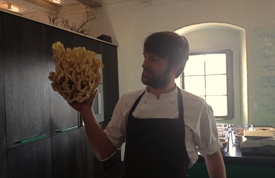 Galleria fotografica






In cammino verso il Noma. Il ristorante è al piano terra del palazzone più a sinistra. Per arrivarci dalla popolare insenatura di Nyhavn (il punto da cui è scattata la foto), occorre fare un bel giro. Ma si notano i lavori per la costruzione di un ponte. Che condurrà dritto all'insegna








Altra prospettiva sul Noma da Nyhavn. Il ristorante galleggia sulla Christianshavn, una delle tante isole artificiali che compongono Copenhagen








Di là del fiume, sulla lunga via che conduce allo spiazzo del Noma








Uno scenario molto tranquillo, di case pastello. Il silenzio è perché vanno tutti in bici













Al massimo si sente rombare qualche scafo








Il vascello davanti al Noma. Oltre a quella danese, sventolano le bandiere di Isole Far Oer e Groenlandia: le loro ambasciate sono nello stesso palazzo del ristorante. Coerenza nordica








Il retro del ristorante. L'80% delle 80 persone che lavorano al Noma viene a lavorare in bici, chef incluso








Dietro al ristorante, un'iscrizione ricorda i passeggeri scomparsi a bordo della danese Hans Hedtoft. Il transatlantico si scontrò il 30 gennaio 1959 contrò un iceberg in Groenlandia. Fu ritrovata solo una cintura di sicurezza
 








L'ingresso del ristorante, al civico 93 di Strandgade








La vista, ingresso alle spalle








Tra l'ingresso e la cucina a vista, spicca un corner di decoro simil-giapponese. A sinistra s'intravede Noma, time and place in Nordic Cuisine, edizioni Phaidon, un testo fondamentale per approfondire tutti i rivoli del Redzepi-mondo. La versione italiana si ordina qui








Una pianta di piccoli agrumi orla la cucina a vista








La porta d'ingresso vista dalla cucina








Le sedie, molto comode, sono anni Sessanta con schienali foderati di pelle di pecora, alcune più morbide di altre








I tavoli sono ampi e senza tovaglie. Attorno prevale il grigio e i colori rustici, sulle travi in legno del soffitto ma anche sulle divise dei ragazzi di sala








La finestra accanto al nostro tavolo








E' lo chef Rene Redzepi a introdurci al pasto: in un vaso di fiori danesi, l'unico pendaglio commestibile è una sorta di carta musica croccante (flatbread) di farina di malto all'aroma di ginepro. Nel piattino in basso, una deliziosa crème fraîche acida per intingerlo








Il flatbread è quello che svetta. "Ma se ci tenete, provate a mangiare anche i fiori", scherza Redzepi. Il cuoco scompare nelle segrete del Noma. Lo ritroveremo solo alla fine del pasto








Tutti i 14 appetizer si mangeranno con le mani. Unica posata, il coltello per tirar su e leccare la crème fraîche da sola (da fare quando tutti gli altri clienti son distratti, però)








Moss and Cep: Muschio di renna con polvere di funghi porcini. E' il corpo bianco, molto saporito ed evanescente, da intingere anch'esso nella crème fraîche
 








Crispy pork skin and black currant: Pelle di maiale croccante e ribes nero, lo strato più esterno. Aspro e croccante








Il ribes nero non ci lascerà prima di molto tempo








Blue mussels and celery: cozze e sedano. Solo due sono quelle buone








La parte inferiore del guscio è commestibile (ancora farina di malto)








Il quinto appetizer è nascosto in una deliziosa scatola di biscotti in latta della tradizione danese (chi non ricorda i Danish butter cookies?)








Cinque tondini, ma solo due "interessanti"








Si chiamano Cheese cookies, rocket and stems, letteralmente Biscotti al formaggio, ruchetta e gambi di erbe aromatiche, un felice snack potenzialmente riproducibile nei nord e nei sud del mondo








Appetizer #6: Potato and duck liver, Patate e fegato d'anatra: le patate croccanti sono in due strati e a mo' di sandwich racchiudono la mousse di fegato. La spolverata è di funghi trombette dei morti, disidratati e polverizzati, una tecnica che troveremo frequentemente








Dried carrot and sorrel, Carote grigliate a fuoco lento per 14 ore, disidratate e servite su polvere di fieno. Si intingono nell'emulsione di acetosella accanto. Un grande piatto perché di inattesa, energica acidità








Ottava entrée: Caramelized milk and cod liver, Biscotto di latte caramellato e fegato di merluzzo, quest'ultimo ghiacciato e pulito. Il secondo dona un aroma molto strong, che domina sul biscotto croccante. Per palati muscolari








Le uova dentro l'uovo








Pickled and smoked quails eggs, Uova di quaglia sbollentate, marinate e affumicate, un classico del Noma. Il tuorlo è completamente liquido








Col Veal fibres and söl, Filamenti di vitello e söl, decimo appetizer, entra in gioco per la prima volta un'alga di mare. E' il söl, appunto, dulse in inglese, Palmaria palmata nella tassonomia scientifica, un'alga rossa incastrata nei filamenti di vitello precedentemente tagliati sottili e poi fritti. Curioso l'impiatto a nido di ingredienti che alla fine incastrano terra e mare








Herb Toast and smoked cod roe, Toast alle erbe e uova di merluzzo affumicato, un'altra grandiosa tapa nordica da far su in due bocconi. Se non ricordiamo male, lo strato superiore è brodo di fegato d'anatra disidratato








Radish, soil and grass, Rapanello, "suolo" ed erba, un altro grande classico del Noma, un paesaggio commestibile di chiara genesi basca-adrianesca, molto replicato negli anni. Carote baby e rapanelli sono interrati in un "suolo" che è una crema di farina di malto con nocciole disidratate. Sotto ancora, uno yogurt di erbe. Finite le verdure, abbiamo chiesto dei cucchiaini per ripulire il suolo








Una foto (di spreadbutter) chiarisce meglio il contenuto del vasetto








Æbleskiver e muikku, penultimo appetizer, di concezione piuttosto recente. Un'antica tradizione dolce danese (Æbleskiver significa "piccoli pezzi di mela" ma la mela qui non c'è) è presentata in versione salata. Code e teste dei muikku, sorta di aringhe baby, sono infilzate in due bigné dall'impasto molto morbido con del ripieno di cetriolo marinato, ben riconoscibile al palato. L'aspetto dispone il cliente alla sfida ma la sua bizzarria visiva si scioglie presto in due bocconi morbidi, eleganti e deliziosi








Ultimo di 14 appetizer: Sorrel leaf and cricket paste, Foglia di acetosella (leggermente piccante) con pasta di grillo. Sì, proprio l'insetto dei prati, qui in consistenza di crema, inserita nel gambo dell'acetosella. Mettendo a fermentare grilli e orzo fermentato, Redzepi ha ottenuto una sorta di garum molto interessante, simile alla soia. Completa il piatto in foto, una granita di nasturzio ghiacciato








E il vino? Non producendo la Danimarca nettari di rilievo, è forse il capitolo meno allettante del Noma. La carta è un trionfo di vini ottenuti in climi freddi: francesi, tedeschi o austriaci soprattutto. Vini di acidità spinta che si combinano bene con le prevalenti acidità dei piatti. Le persone inquadrate nella foto hanno optato per il pairing coi succhi di frutta, quelli sì interessanti e autoctoni: il percorso prevede 7-8 succhi tra cui carote e ginepro, sedano e sedanorapa, cetriolo, eccetera. E i vini italiani? Pochi e tutti rossi, soprattutto di produttori di nebbiolo del Piemonte. "Ma li chiedono solo i norvegesi", ci raccontano








Terminati appetizer e main courses, sbirciamo i lavori in cucina. In primo piano, Samuel Nutter, sous chef inglese








Al centro, riconosciamo Matthew Orlando di San Diego, 35 anni e da 4 e mezzo head chef del Noma. Più tardi ci rivelerà che entro un paio d'anni aprirà il suo ristorante a Copenhagen. "E Renè che ne pensa?", chiediamo. "E' proprio lui a incoraggiarci a metterci in proprio", risponde Orlando. Vero, chiedere anche a Christian Puglisi








Ancora Orlando ci spiegherà che, tra sala, cucina, preparazioni e laboratorio, il Noma arriva a impiegare dall'alba a mezzanotte fino a 80 persone








La cucina prevede 7 comparti: il caldo, il freddo, la pasticceria, gli snack, produzione e mise-en-place, le preparazioni della squadra del mattino e la ricerca (su quest'ultima torneremo più avanti). Gli stagisti scelgono di lavorarci, sapendo di non essere pagati. Redzepi riceve un centinaio di curricula a settimana








Torniamo a tavola e troviamo nuove posate: rami appuntiti di sambuco








Servono a infilzare il primo delle portate "serie", Potato and snails, patate e lumache, servito in due piatti. Il primo è una terrina (rovente) di piccole deliziose patate affumicate e semiaffogate in una salsa al burro dolce e al tavolo spolverate con sale proprio di sambuco. Accanto, piccoli ceppi d'albero affumicati








Accanto, l'altra metà del piatto da infilzare coi bastoncini di sambuco: lumache glassate nel loro succo con burro dolce, olio al prezzemolo ed emulsione di piselli fermentati








Dopo 15 portate arrivano le posate. "Si torna alla civiltà", scherza il ragazzo di sala








...e arriva pure il pane, nascosto in una stoffa soffice con accanto due ciotoline che contengono burro da latte di capra e burro di grasso e crumble di maiale. Colesterolemici, vade retro








Solleviamo la stoffa: il pane è una pagnotta di lievito naturale di grano locale. La crosta è super-fragrante e il cuore molto sofficie e poroso








Cooked fava beans and beach herbs, Fave stufate gentilmente ed "erbe di spiaggia" (che poi sono diversi tipi di alghe di mare). Le fave sono fantastiche nella loro compattezza inaspettatamente dolce








Con la terza portata del ciclo "serio" veniamo ai ragazzi di sala: sono tutti molto professionali ma anche rilassati. Tra i 30 e i 40 anni, molti tatuati, ruotano di continuo al nostro tavolo: una trentina dei piatti sono stati serviti e illustrati da 10 camerieri diversi, molti dei quali cuochi dei livelli più alti della gerarchia. Il ragazzo in foto che ci serve Berries and cucumber, Bacche e cetrioli, si chiama Beau Clugston, è australiano e da poche ore è un nuovo sous-chef del Noma








Ai frutti di bosco e insalata di cetrioli si unisce del succo di camomilla...








...et voilà








Insalata di brown crab (granchi atlantici), tuorlo d'uovo, erbe di campo e il rosso sono le uova del granchio. I ragazzi si raccomandano di fare attenzione perchè potrebbe esserci del carapace o delle chele: la carne del granchio è stata rimossa tutta a mano. Noi ci scontriamo solo con un fresco schiaffo iodato








Accanto alle langoustine, scampi norvegesi, torna l'alga söl, questa volta in forma di emulsione con acqua di ostriche. I puntini rossi sono segale disidratata








Cavolfiore e pino, crema e rafano. Pensi a una capasanta e invece è un trancio di cavolfiore quello che spunta da sotto gli aghi di pino. E' ricavato dalla parte alta dell'ortaggio, arrostito a arricchito con gli aromi di pino, abete, ginepro e rafano. L'orto e il silvestre








Lucioperca con gambi di verdure. Impeccabile ma insolitamente classico nella sua concezione su salsa al burro e capperi. Incuriosisce la disposizione, che lascia intonsa più di metà del piatto. Come a voler lasciar libero il lucioperca di sguazzare di nuovo








Arrivano in tavola nuovi oggetti: olio di fieno e un cronometro. E' l'inizio del gioco di The hen and the egg, La gallina e l'uovo








The hen and the egg #2: attorno a un tegamino rovente su del fieno appena umido, notiamo una chips a spirale di patata e un uovo (d'anatra, ci dicono)








The hen and the egg #3: accanto al tegame, foglie di spinaci, aglio selvatico, germogli e fiori di campo vari








The hen and the egg #4. "Dovete rompere voi l'uovo e cuocerlo", ci spiegano armati di olio di fieno, che spruzzeranno nel tegame prima del nostro esercizio








The hen and the egg #5: son riuscito a non sbrodolare. Il piatto, spiegherà Redzepi poi, "E' un po' un invito sdrammatizzante a cucinare. Sono rimasto sorpreso dal fatto che tanti clienti non hanno mai rotto un uovo. Cerco di mostrare loro che la cucina è in fondo un esercizio molto elementare"








The hen and the egg #6: dopo 120 secondi esatti di cronometro, si uniscono all'uovo le verdure e si rimesta il tutto








The hen and the egg #7: tocco finale, una salsa di acetosella. Il piatto non è memorabile...








...ma il risultato è lo stesso delle 21 portate precedenti: piatto spazzolato The hen and the egg #8








Animelle di vitello, erbe di campo, funghi e sedanorapa. Un gran piatto, ma non esattamente quello che ti aspetti al Noma. Sottigliezze eh








A un passo dai dolci, il brusio in sala si fa più sostenuto. L'alcol e le discussioni sull'incredibile girandola di piatti provati








E il brusio lievita ancora al primo dei due dolci: Blueberries and ants, Mirtilli e formiche (la foto è di garyalanfine, avevo terminato le batterie). Il piatto è duplice: la foto mostra la prima metà, che racchiude una confettura di formiche tra due foglie di nasturzio. Ce la porta al tavolo Rosio Sanchez da Chicago, splendida coordinatrice dei dessert del Noma. E le formiche? Ci torniamo alla fine della gallery








Mirtilli e formiche parte seconda: accanto alle foglie di nasturzio con formiche, arriva un geniale sandwich con gelato di mirtilli (la foto è ancora di garyalanfine)








Ventiquattresimo e ultimo piatto, un "classico" Gammel Dansk, sorta di Jaegermeister danese qui sposato ad acetosella e latte disidratato. Apprezziamo la voglia di non sovraccaricare con ulteriori bombe al cioccolato o altre grasse cremosità che a fine pasto chiederebbero gli straordinari ai succhi gastrici (grazie ancora a garyalanfine)








Dopo oltre 3 ore di degustazione, ci si accomoda tutti nel dehors accanto: in vetrina spiccano grappe di Brunello








Potevano farti mancare lo skyr, il formaggio fermentato acido degli islandesi? Certo che no: agli albori della New Nordic Cuisine venne praticamente brandito da Redzepi come simbolo delle rivoluzione. L'arma per contrastare il dilagare dei formaggi francesi in Danimarca, così come l'olio di colza in vece dell'olio d'oliva








Riordinata la sala per la sera, Kim Sander e Matthew Orlando ci invitano a fare un sopralluogo nei back office del Noma








I ragazzi si divertono ma il lavoro è un massacro: tra il pranzo e la cena ci sono solo 45 minuti di pausa, dalle 17 alle 17.45. "Per questo", spiega Redzepi, "è fondamentale tenere chiuso due giorni, domenica e lunedì. Così stacchiamo da ogni pensiero. 7 su 7 sarebbe controproducente per l'umore di tutti"








Orlando ci mostra il gazebo all'aperto sul retro, dove si griglia e affumica qualsiasi cosa








Al primo piano, un tavolo da 9-15 persone che si aggiunge ai coperti del piano terra. "E' il nostro table's chef' , dice Orlando








Alle pareti, una felice riproduzione caricaturale della cucina di sotto








Nella sala accanto, uno squadrone di giovanissimi è perennemente alle prese con le pre-preparazioni








Tagliare, separare, sgusciare, sminuzzare...








Il terzo ambiente al primo piano è la sala del relax dei ragazzi...








...ma anche quella del grande capo...








...che infatti troviamo defilato ad affettare un mega-cavolo...





