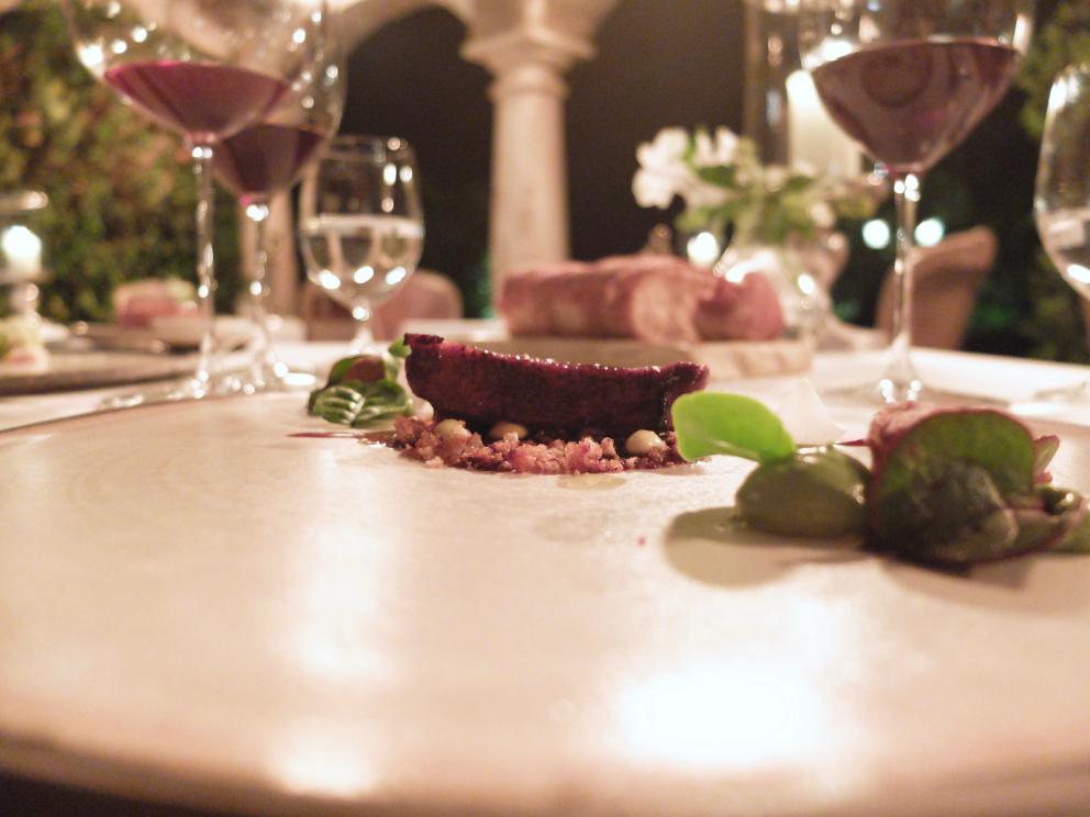 Photogallery






Our dinner at Meo Modo starts with various appetizers: hake tartare, gel of black olives and lime, sheep’s milk cheese with extra virgin olive oil and cypress, oregano and cheese cracker, black tomato with saffron mayonnaise, fermented tomato with crispy millet, pearls of crispy codfish









Celery sorbet, barbe brunoise and hazelnuts 









Fantastic salad made with 25 vegetables from the kitchen garden, with beetroot cream and cereal biscuit served with mushrooms, mushroom sponge, musk aroma and tomato infusion









The mushrooms sponge, aroma of musk and tomato infusion served with the salad









Squilla mantis, its crispy legs, cream of potato and lemon, crustacean bisque, cream of Palazzetto saffron









Chicken entrails, chicken liver pâté, smoked eel, puffed rooster crest









Excellent Verna wheat tagliolini with cream from the same wheat and apple geranium, mackerel cooked at low temperature and hemp seeds 









Cereals cooked as with risotto: Cream of pumpkin, toasted sunflower seeds and sunflowers 









Agnolotto with rabbit alla cacciatora, cream of Parmigiano, rosemary sauce, black olives and tomato 









Roasted seabass with seabass carpaccio, chard, oats and peanuts from Venturina






