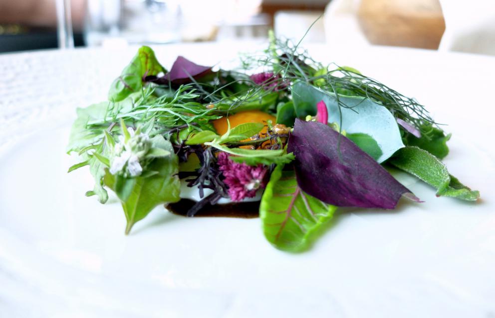 Galleria fotografica






Uomini e donne de La Tana Gourmet quasi al completo: da sinistra Alessandro Dal Degan, il pastry chef Denny Caliaro, Marco Perin, Jacopo Robelli, Giada Mastrotto, Enrico Maglio. Le foto sono di Tanio Liotta









Salsa all'uovo, pecorino e pepe con cracker ai cereali









Chips di patate, carote e amaranto









Cipolla, crème fraîche, ristretto di pollo, crusca, pepe arancio (ossia foglie di Zanthoxylum beecheyanum). Gran piatto









Ricotta, latticello, finferli, crema di gambo di carciofo, foglie e fumo di larice









Lumache stufate nel fieno, crema di erbe di campo, pane al muschio, crema di ginepro, peperone del piquillo









Orzo: terra ed acqua. Ossia orzo mantecato con l'Asiago, fagioli neri (la buccia in mantecatura, il resto in polvere), katsuobushi, lattuga di mare, scampi, limone candito al sale. L'orzo, così risottato, «non scuoce mai»









Pasta, pomodoro ed erbe, ne abbiamo già parlato






