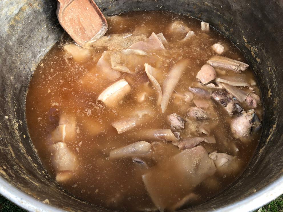 Galleria fotografica






La cena prologo di Pig Calabria è stata preparata al De Gustibus di Palmi. Nella foto Armando e Maurizio Sciarrone, figlio e padre









Padre e figlio della Macelleria Arturo di Campo Calabro (Reggio Calabria) preparano la caddara tradizionale a Villa Rossi. A sobbolire, le frittole, tutti i tagli del maiale









Luca Abbruzzino, chef del ristorante Abbruzzino di Catanzaro, tra Enzo e Renato Ioppolo della Macelleria Fratelli Ioppolo di San Giorgio Morgete (Reggio Calabria), telefono +39.0966.935101









Il motto è noto: del maiale non si butta via nulla









Luciano Monosilio (Pipero, Roma) prepara il su Bao ai piedini di maiale con salsa thai






