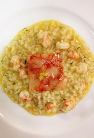 Photogallery






Anchovy staffed with salted codfish, lardo and tomato cake








Sicily king prawns with foie gras, fig and cocoa beans cream








Scallop with a crispy pork cracker, apple sauce and smoked potato





