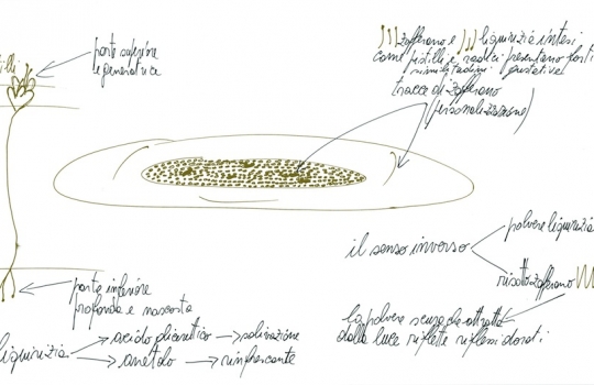 Galleria fotograficaSi parte con gli amuse-bouche, tra i quali anche uno spicchio di pizza, nella versione &ldquo;a vapore&rdquo; brevettata da Massimiliano e Raffaele (ne abbiamo parlato qui). Buona, &egrave; buona; poi, rende bene il tentativo delle Calandre di scrollarsi di dosso l&rsquo;ampollosit&agrave; del tristellato per indossare abiti pi&ugrave; casual (foto Passera)SCAMPI TOSTATI CON "FORMAGGIO" FRESCO DI LATTE DI FAVE, RADICCHIO E MELE
Formaggio tra virgolette, perch&eacute; si tratta in realt&agrave; di un tofu ottenuto da latte di fave fatto cagliare con l'aggiunta di nigari, un cloruro di magnesio estratto dall'acqua di mare. Fa da base agli scampi tostati. Il piatto &egrave; fresco e aromatico, anche per il forte impatto delle note agrumate dovute all'uso di succo di limone nella preparazione del tofu e poi dell'essenza spray di limone, della linea In.gredienti, che viene spruzzata a mise en place terminata, andandosi a fondere in difficile equilibrio con i sentori amarognoli del radicchio e quelli dolci della mela. La carnosit&agrave; iodica dello scampo, comunque, ne risulta perfettamente rispettata. La ricetta &egrave; raccontata dallo stesso Alajmo. Che poi dice: &laquo;E' una delle prime preparazioni che evidenzia la sensazione lattica di un vegetale. Caratteristica dominante &egrave; la leggerezza, unita alla percezione di totale integrit&agrave; di scampi, fave, mela, delle materie&raquo;&nbsp;(foto Sergio Coimbra)CAPPUCCINO DI SEPPIE AL NERO
Forse il piatto icona delle Calandre, giustamente imitato tanto da apparire oggi &ldquo;normale&rdquo;, perch&eacute; entrato stabilmente &ndash; nelle sue infinite varianti possibili &ndash; nel canovaccio della cucina d&rsquo;autore. Di perfetta armonia. Online si trovano decine di ricette per farselo a casa, ma forse conviene passare dal reparto gastronomia a Rubano, dove troverete le due componenti &ndash; la crema di patate e la seppia al nero &ndash; separate, sottovuoto, gi&agrave; dosate e pronte da portare e unire a casa (foto Wowe)Dice Alajmo: &laquo;Inizialmente servito in un piatto fondo, ha trovato poi forma nella trasparenza. Un bianco e nero verticale, enfatizzato dal ricordo perimetrico della seppia, un gioco votato a rivalutare la dignit&agrave; degli ingredienti poveri. Il cappuccino, rappresentato da un gusto basico-sapido, si pu&ograve; paragonare a un tiramis&ugrave;: la patata si traveste da mascarpone e la seppia da caff&egrave;. Semplice e avvolgente, stimola la salivazione in un compiacimento gustativo dai tratti infantili&raquo;CANNELLONI CROCCANTI DI RICOTTA E MOZZARELLA DI BUFALA CON PASSATA DI POMODORO
Un po&rsquo; come la pizza: madeleine quasi disarmante che rievoca casa, sapori familiari, atmosfere conosciute. A volte Massimiliano Alajmo viene accusato di essere troppo freddo, cerebrale, perfetto in una sorta di algidit&agrave; d&rsquo;autore. Questo piatto pu&ograve; anche essere la sua risposta, di indubbia classe (foto Wowe)Dice Alajmo: &laquo;Candele friabili e cremose dal sapore di pizza conducono inevitabilmente i polpastrelli al gioco spensierato della scarpetta. Un calzone insolito, decisamente partenopeo, che risveglia quell&rsquo;istinto inconsapevole, proprio dei bambini&raquo;RISOTTO ALLO ZAFFERANO CON POLVERE DI LIQUIRIZIA
Che Andy Hayler, il diversamente celebre ex manager Shell che s&rsquo;&egrave; girato tutti i ristoranti tristellati del mondo, lo abbia classificato come &ldquo;risotto pi&ugrave; buono del pianeta&rdquo;, fa parte in fondo delle sciocchezzuole di cui si parla giusto per curiosit&agrave;. E&rsquo; invece, al pari del Cappuccino di seppie al nero, il signature dish che trova sulla rete centinaia di imitatori pi&ugrave; o meno improvvisati. Accarezza le papille gustative con suadenza che sulle prime non t&rsquo;aspetteresti ma che non risulta aliena, in un incontro-scontro che diventa connubio perfetto, come spiega lo stesso Alajmo (foto Wowe)