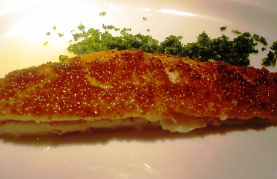 Galleria fotografica






Grande poco più della Svizzera, l'Estonia è la più settentrionale delle Repubbliche Baltiche. E' entrata nell'Ue nel maggio 2004 e, da gennaio scorso, adotta l'euro come moneta unica. Il 10% del suo territorio è composto da isole e isolotti (in tutto, 1.520)








<p>Tallinn, capitale dell'Estonia, ha 400mila abitanti circa, più o meno come Firenze. Nota come "città della pietra calcarea", la cinta muraria della complesso medioevale misura 2 km e conta su 26 torri. Uno spasso girare per i viottoli, specie nei giorni di sole</p>








Il più illustre cuoco della nazione è Dimitri Demjanov, co-autore del libro in foto, accademico dell'Estonian Culinary Institute nonché coach della delegazione nazionale estone in concorso agli ultimi Bocuse D'Or. Tecnica francese e fascinazioni scandinave contemporanee (Renè Redzepi, Claus Meyer...), si batte per la crescita gastronomica del Paese: «fino a due anni fa nessuno qui sapeva nulla sulla stagionalità dei prodotti...», spiega








Il ristorante Gloria di Dimitri Demjanov in centro a Tallinn. All'interno, un complesso di cunicoli scavati nelle mura della città, 2mila etichette esposte e una sala in cui assaggiarre piatti classici di stampo russo/francese come Aringhe alla Romanov o Scaloppe di foie gras. Per una cucina più contemporanea, rivolgersi all'Egoist, altra insegna di proprietà. Il nome tradisce l'inclinazione all'ego-riferimento del suo proprietario





