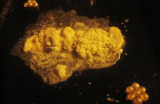 Galleria fotografica






Da sinistra, Federico Zanasi, Luca D’Amora e Moreno Cedroni. Dalle Marche alle Mauritius








A destra, Federico Zanasi con gli altri due chef del Long Beach. Oltre a Sapori e Hasu, diretti dai cuochi italiani, il resort ospita Chopsticks (cucina cinese), Tides (cucina di mare d'impronta francese) e Le Marchè (buffet e colazioni)








Il tunnel sotterraneo del resort. Ai lati, le stanze in cui si prepara la materia prima da spedire ai vari ristoranti di sopra








Pesci oceanici mauriziani. Su tutti dominano gli snapper, red o white, lontani parenti del dentice








I mercati di frutta e verdura mauriziani sono molto ricchi. La pugliese Antonella Ricci e il marito Vinod Sokar, mauriziano, moglie e marito e cuochi del Fornello da Ricci di Ceglie Messapica (Brindisi) consigliano i mercati di Quatre Bornes, Curepipe e Rose Hil. Vi regna il cibo da strada come l'ubiquo dhal puri, pane indiano alle lenticchie, che può essere farcito a piacere








Sapori, insegna di cucina italiana sovrintesa da Cedroni e Zanasi. In carta insalata, pasta, risotti, lasagne e pizza








Federico Zanasi davanti all'ingresso dell'Hasu








Il Carpaccio di cocomero dell'Hasu, il ristorante giapponese del Long Beach, chef Moreno Cedroni. La tecnica di essiccamento del cocomero prende spunto da uno stratagemma di Andoni, cuoco del Mugaritz nei Paesi Baschi (chiediamo venia per la foto pessima)





