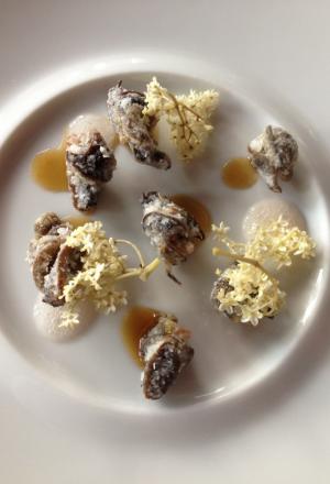 Galleria fotograficaCiocofoie
Un guscio di cioccolato 70% racchiude il ripieno di foie gras mi-cuit con qualche goccia di aceto balsamico tradizionale. Giusto per scaldare il motore
Alghe del nostro orto
Piatto border line, che gioca con una delle tecniche preferite dallo chef, quella della liofilizzazione e reidratazione, ne ha parlato anche a Identit&agrave; d&rsquo;Acqua, all&rsquo;interno dell&rsquo;ultima Identit&agrave; Milano. L&rsquo;insalata romana dell&rsquo;orto Zappatori viene prima liofilizzata e poi reidratata con succo d&rsquo;arancia, che le conferisce i muscoli agrumati necessari per reggere l&rsquo;impatto con una polvere di ostrica, gambero rosso e scampo.   Mica per tutti
Nuvola di barbabietola e toma Blu Cozie
Sbagliata sarebbe l&rsquo;impressione di un Milone-solo-uppercut. Dimostra invece un&rsquo;eleganza che pare essergli naturale (e pervade tutto il menu degustazione) con quest&rsquo;eterea meringa, lieve e friabilissima, texture davvero sorprendente che si sfalda appena al contatto della saliva rivelando le proprie dolci note vegetali. Deve per&ograve; fare i conti non solo con lo shiso, piacevole complemento, ma con un potente, delizioso blu che la prevarica. Il nostro pensiero &egrave; stato: si potrebbe cercare un abbinamento pi&ugrave; soave&hellip;
Aperitivo anni 80
Noccioline e crodino. Per&ograve; il secondo &egrave; passato per gli anni Duemila e ha conosciuto il pacojet, insomma gli Ottanta della Milano da bere sono da gustare ora al/col cucchiaio. Domina l&rsquo;amaro, sia metaforicamente (nel ricordo del bel tempo andato) che al palato
Pomodoro in conserva
Ancora liofilizzazione-reidratazione, con questo sherry che riceve un&rsquo;iniezione aromatica e poi viene bagnato al tavolo con un brodo vegetale. La puntura al pomodoro l&rsquo;abbiamo gi&agrave; vista (da Josean Alija ad esempio, indimenticabile, o da Eneko Atxa), qui il plus &egrave; la scelta del &ldquo;ripieno&rdquo;: lampone. Insomma: forti note dolci e acide, cui il brodo fa da contrappunto
Gambero rosso e te nero
Suadenze pi&ugrave; classiche per questi gamberi rossi battuti con erbe (basilico, timo limone, cedrina&hellip;), che diventano bonbon nappati con un gel di t&egrave; nero affumicatoCozze al nero
Piatto bellissimo e pure buonissimo, in realt&agrave; con richiami molto tradizionali (le classiche cozze irrorate con succo di limone). Qui sono farcite con un&rsquo;acqua ottenuta dalle stesse cozze e dalle nobili ostriche, poi gelatinata. La parte gradevolmente agrumata sporca il piatto, nell&rsquo;incontro tra salsa al lime e nero di seppiaVicciola cruda brasata al vino rosso
Godimento puro, il merito del quale va condiviso da Milone con la macelleria Pino di Torino, dove hanno &ldquo;inventato&rdquo; la vicciola, ossia una fassona cresciuta a nocciole (la sua alimentazione &egrave; composta da mais, crusca, fieno e nocciole, appunto). Unico allevamento, l&rsquo;azienda agricola di Giovanni Rossetti ed esclusivamente per la suddetta macelleria di via Cibrario, rese molto inferiori come quantit&agrave; ma tutto a vantaggio di una qualit&agrave; stupefacente. La carne ha un gusto dolce e delicato, prende consistenza morbida dovuta alla sua fibra oleosa. Milone la impiega come fosse una cruda all&rsquo;Albese, abbinandole un&rsquo;altra preparazione cult del suo Piemonte, il brasato, in realt&agrave; il fondo liofilizzato e poi polverizzato. Completa il superlativo piatto uno scalogno cotto nel microonde e poi bruciato in padella