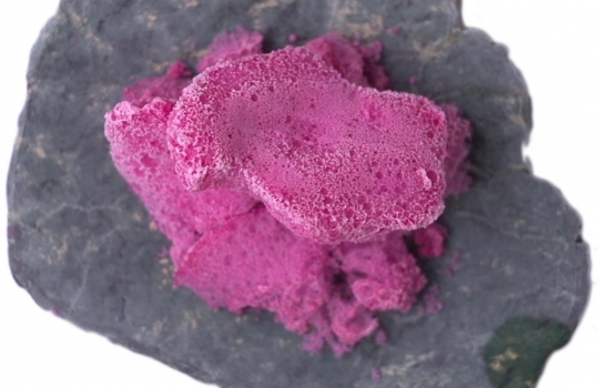 Galleria fotografica






Le prove generali








Prove del primo atto: al centro, il Bonsai di pica-pica


















Comincia la nostra esperienza: occhio all'indirizzo del centro Arts Santa Monica








Fuori staziona il van di Girona con tutto il nécessaire commestibile








Dentro, la targa coi ringraziamenti a tutti coloro che hanno lavorato al progetto








Per arrivare al set dell'opera si attraversa una mostra che proietta in oblò teaser coi motivi anticipatori di quel che troveremo dentro








Un altro teaser








Il set prima delle trasmissioni













Si parte








Una spirale ci introduce al viaggio








Al centro del tavolo, nascosto tra bonsai (un classico rochiano), pica-pica di bon bon rappresentativi di vari paesi: cevice peruviano, guacamole messicano, cous-cous marocchino...








Commensali spiazzati








Il sogno ha inizio: l'atto primo mette in tavola la Luna, sfere di tartufo bianco e nero con distillato terrestre








Intorno, un video di Franc Aleu, le musiche di Luca Francesconi e il tableware di Taller Luesma Vega








La luna








Atto secondo: lo spazio








Piatto dello spazio: aria di fichi di Cap de Creus








C'è un calice diverso per ogni atto: si passa dal cava agli champagne, dall'Armagnac ai Rioja a semplici gocce di distillati, versati anche sulla mano








Intorno, un altro splendido 3D di Franc Aleu, con le musiche di Sergi Caballero, Pedro Alcade








E' l'ofiuco, il tredicesimo segno zodiacale, tema del terzo atto













Atto quarto: Under the Sea, il set  diventa uno scenario sottomarino (vedi video 1)













E a tavola arriva una composizione golosissima di piatti di mare, servita in sculture di Pere Gifre e Dani Molina: vellutata di ricci grigliati, anemoni impanati, parmentier di octopus, marinata di frutti di mare e cirripedi













Tra un atto e l'altro, la voce calma di Josep Roca


















Atto Quinto, il Giardino delle Esperidi, dal sapore orientale: nel piatto, un fiore Mandala con limone, curry, bietole, mango, cocco, finocchio, yogurt, cannella, cardamomo, menta, zenzero, pepe, fiori, carciofi e agnello













Atto Sesto: il Corteggiamento













Motivi Yin Yang ovunque: nelle musiche di Albert Guinovart, nei video di Franc Aleu. E nel piatto dei Roca: Ostriche marinate in sherry Palo Cortado, salsa di ostriche, aglio bianco e nero








Ci si prepara ai fuochi d'artificio del settimo atto. I 12 camerieri si avvertono appena, se non quando illuminati dalle scenografie








Atto sette: i piatti sono creazioni ispirate ai fossili di Roos Van de Velde








Dopo la mela candita, tema dell'ottavo atto, l'opera assume i toni ancora più foschi nel nono, la Guerra: Royale d'oca con gocce di sangue di bietola. Le musiche di Wolfgang Mitterer e le immagini di Franc Aleu si fanno cruente (vedi video 2)








Atto Dieci: Misericordia/Morte








Spuma di patate viola, bon bon di gelato di genziana, midollo di vitello, rabarbaro con caviale e funghi trombette della morte. Attorno, fumi d'incenso di Artemisia








Dopo la Gloria (undicesimo atto, il piatto che respira del video 3) approdiamo rapidi alla chiusura del dodicesimo anno (il Risveglio della primavera)








Tutti vorrebbero ricominciasse








Amuse-bouche
Il Bonsai di pica-pica








Preludio
Brodo vegetale cotto in bassa temperatura con parole scritte








Atto 1 - Il Sogno comincia
La luna: sfere di tartufo bianco e nero con distillato di terra





