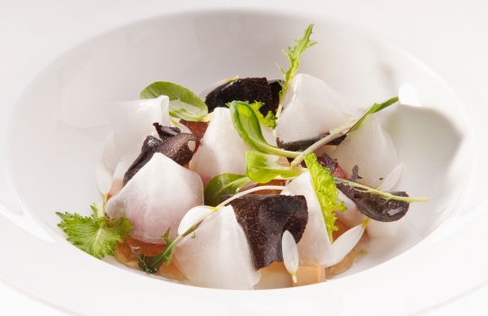 Galleria fotograficaColori d'autunno (foto Brambilla/Serrani)Lepre royale&nbsp;(foto Brambilla/Serrani)