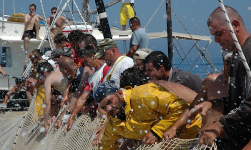 Girotonno, a last fin challenge