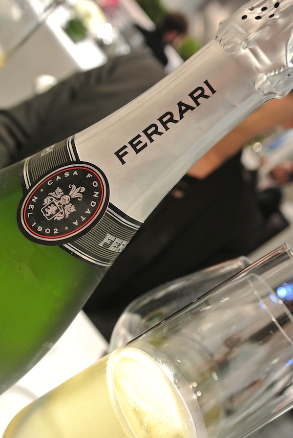 Galleria fotografica













