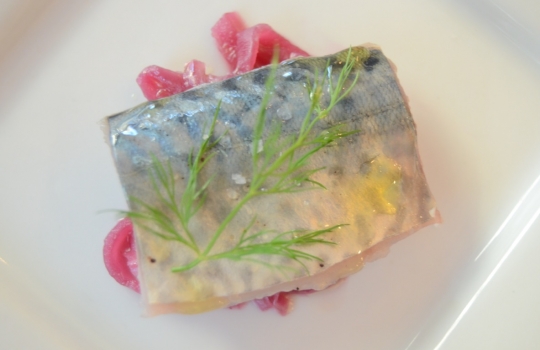 Galleria fotografica






L'assessore comunale Franco D'Alfonso, il curatore di Identità Golose Paolo Marchi, Viviana Varese di Alice e Alfredo Zini di Confcommercio e dei Ristoratori milanesi








Cristina Aromando, Aromando Bistrot, mercato Fusina








Mercato Ferrara: Massimo Masuelli dell’omonima trattoria storica di viale Umbria








Maurizio Di Prima di Nassa Osteria, mercato Rombon








 Mercato Morsenchio, Tronconi e Traversone, Trattoria del Nuovo Macello e Cucina dei Frigoriferi Milanesi








Giuseppe Zen, Mangiari di strada















