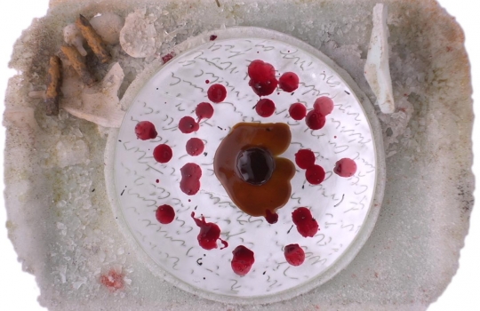 Galleria fotografica






Le prove generali








Prove del primo atto: al centro, il Bonsai di pica-pica


















Comincia la nostra esperienza: occhio all'indirizzo del centro Arts Santa Monica








Fuori staziona il van di Girona con tutto il nécessaire commestibile








Dentro, la targa coi ringraziamenti a tutti coloro che hanno lavorato al progetto








Per arrivare al set dell'opera si attraversa una mostra che proietta in oblò teaser coi motivi anticipatori di quel che troveremo dentro








Un altro teaser








Il set prima delle trasmissioni













Si parte








Una spirale ci introduce al viaggio








Al centro del tavolo, nascosto tra bonsai (un classico rochiano), pica-pica di bon bon rappresentativi di vari paesi: cevice peruviano, guacamole messicano, cous-cous marocchino...








Commensali spiazzati








Il sogno ha inizio: l'atto primo mette in tavola la Luna, sfere di tartufo bianco e nero con distillato terrestre








Intorno, un video di Franc Aleu, le musiche di Luca Francesconi e il tableware di Taller Luesma Vega








La luna








Atto secondo: lo spazio








Piatto dello spazio: aria di fichi di Cap de Creus








C'è un calice diverso per ogni atto: si passa dal cava agli champagne, dall'Armagnac ai Rioja a semplici gocce di distillati, versati anche sulla mano








Intorno, un altro splendido 3D di Franc Aleu, con le musiche di Sergi Caballero, Pedro Alcade








E' l'ofiuco, il tredicesimo segno zodiacale, tema del terzo atto













Atto quarto: Under the Sea, il set  diventa uno scenario sottomarino (vedi video 1)













E a tavola arriva una composizione golosissima di piatti di mare, servita in sculture di Pere Gifre e Dani Molina: vellutata di ricci grigliati, anemoni impanati, parmentier di octopus, marinata di frutti di mare e cirripedi













Tra un atto e l'altro, la voce calma di Josep Roca


















Atto Quinto, il Giardino delle Esperidi, dal sapore orientale: nel piatto, un fiore Mandala con limone, curry, bietole, mango, cocco, finocchio, yogurt, cannella, cardamomo, menta, zenzero, pepe, fiori, carciofi e agnello













Atto Sesto: il Corteggiamento













Motivi Yin Yang ovunque: nelle musiche di Albert Guinovart, nei video di Franc Aleu. E nel piatto dei Roca: Ostriche marinate in sherry Palo Cortado, salsa di ostriche, aglio bianco e nero








Ci si prepara ai fuochi d'artificio del settimo atto. I 12 camerieri si avvertono appena, se non quando illuminati dalle scenografie








Atto sette: i piatti sono creazioni ispirate ai fossili di Roos Van de Velde








Dopo la mela candita, tema dell'ottavo atto, l'opera assume i toni ancora più foschi nel nono, la Guerra: Royale d'oca con gocce di sangue di bietola. Le musiche di Wolfgang Mitterer e le immagini di Franc Aleu si fanno cruente (vedi video 2)








Atto Dieci: Misericordia/Morte








Spuma di patate viola, bon bon di gelato di genziana, midollo di vitello, rabarbaro con caviale e funghi trombette della morte. Attorno, fumi d'incenso di Artemisia








Dopo la Gloria (undicesimo atto, il piatto che respira del video 3) approdiamo rapidi alla chiusura del dodicesimo anno (il Risveglio della primavera)








Tutti vorrebbero ricominciasse








Amuse-bouche
Il Bonsai di pica-pica








Preludio
Brodo vegetale cotto in bassa temperatura con parole scritte








Atto 1 - Il Sogno comincia
La luna: sfere di tartufo bianco e nero con distillato di terra








Atto 2 - Lo spazio
Aria (essenza) di fichi di cactus di Cap de Creus








Atto 3 - Ofiuco
Serpente di anguilla affumicata








Atto 3 - Sotto il mare
Vellutata di ricci di mare grigliati








Atto 4 - Sotto il mare
Gamberi grigliati con teste di scampo








Atto 5 - Il Giardino delle Esperidi
 Fiore Mandala con limone, curry, bietole, mango, cocco, finocchio, yogurt, cannella, cardamomo, menta, zenzero, pepe, fiori, carciofi e agnello
 








Atto 6 - Il Corteggiamento
Ostriche marinate in sherry Palo Cortado, salsa di ostriche, aglio bianco e nero
 








Atto 7 - Carnalità
Salsa di mole, rose grigliate, sugo di piccione e petto di gallina su un piatto a forma di rosa con gocce di acqua di rose








Atto 8 - Devastazione/La Mela
Mela caramellata soffiata ripiena di spuma e dadini di mela grigliata e sobrassada





