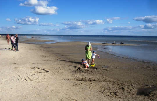 Galleria fotografica






Grande poco più della Svizzera, l'Estonia è la più settentrionale delle Repubbliche Baltiche. E' entrata nell'Ue nel maggio 2004 e, da gennaio scorso, adotta l'euro come moneta unica. Il 10% del suo territorio è composto da isole e isolotti (in tutto, 1.520)








<p>Tallinn, capitale dell'Estonia, ha 400mila abitanti circa, più o meno come Firenze. Nota come "città della pietra calcarea", la cinta muraria della complesso medioevale misura 2 km e conta su 26 torri. Uno spasso girare per i viottoli, specie nei giorni di sole</p>








Il più illustre cuoco della nazione è Dimitri Demjanov, co-autore del libro in foto, accademico dell'Estonian Culinary Institute nonché coach della delegazione nazionale estone in concorso agli ultimi Bocuse D'Or. Tecnica francese e fascinazioni scandinave contemporanee (Renè Redzepi, Claus Meyer...), si batte per la crescita gastronomica del Paese: «fino a due anni fa nessuno qui sapeva nulla sulla stagionalità dei prodotti...», spiega








Il ristorante Gloria di Dimitri Demjanov in centro a Tallinn. All'interno, un complesso di cunicoli scavati nelle mura della città, 2mila etichette esposte e una sala in cui assaggiarre piatti classici di stampo russo/francese come Aringhe alla Romanov o Scaloppe di foie gras. Per una cucina più contemporanea, rivolgersi all'Egoist, altra insegna di proprietà. Il nome tradisce l'inclinazione all'ego-riferimento del suo proprietario








La Sogliola del Gloria di Tallinn, impeccabile nella sua classicità (e non nella luce dello scatto, ahinoi)








Pane di segale, aringhe, patate, carne di maiale affumicata, merluzzo, grandi marinature per preservare gli alimenti nella rigidità dell'inverno. Sono i pilastri della cucina estone nel racconto di Dimitri Demjanov








La sala del Ristorante Ö, di gran lunga il migliore della Capitale, ai margini delle mura della città vecchia. In cucina, Dmitri Fomenko, 30 anni. In carta, i vini italiani sono elencati prima di quelli francesi. Prezzi medi delle 3 portate: 13, 23 e 8 euro. Degustazione di 6 portate: 65 euro








Tartare "non tradizionale" di manzo con insalata di acetosella e crema di crescione del Ristorante Ö di Tallinn








Pesce bianco con cavoli in infusione nella vaniglia e salsa alla zucca del Ristorante Ö di Tallinn








L'ingresso del Three Sisters Hotel alla fine della via Pikk, dentro le mura della città vecchia. E' l'unico boutique hotel di Tallinn ed è affiliato alla Relais & Chateaux. Nasce dall'unione di 3 edifici distinti, costruiti nel 1362 e uniti solo nel 2003 da un gran lavoro architettonico. In alta stagione le suite vanno da 410 a 946 euro a notte








Il Sigaro di foglie di cavolo, carne di maiale e salsa chili del Bordoo, ristorante dell'hotel Three Sisters di Tallinn, chef  Tõnis Siigur (foto De Cesare Viola)








Hell Hunt, il pub più frequentato dagli estoni di Tallinn, sulla via Pikk. E' il luogo perfetto per osservare la gente del posto - in agosto turisti da ogni dove, tra cui italiani a caccia di ragazze e britannici in cerca di alcolpop a basso prezzo - con una bella pinta di Rauchbier o Lager








Aringhe del Baltico arrosto su pane di segale, cetrioli marinati e  crème fraîche, il miglior piatto (peccato solo per quello zinzinello di troppo di cipolla) del Kaerajaan, l'insegna meno turistica di Raekoja, la piazza principale della città vecchia








C'è un filo rosso che da Tallinn conduce dritto alla Sicilia: il marzapane. In foto, esemplari realizzati con la nota pasta di mandorle al Martsipanituba Kalev, confettiere e pasticceria estone fondata nel 1806
 








Le strade dell'Estonia sono in pratica lingue d'asfalto adagiate sul verde (o sulla neve d'inverno). Il traffico è quasi assente e il tratto più lungo che si può fare da Tallinn entro i confini non supera i 300 chilometri. Nessuna tolleranza per chi guida e beve: vietato anche un solo dito di birra





