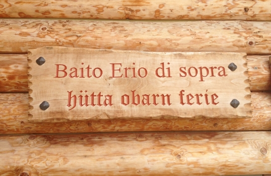 Galleria fotografica



